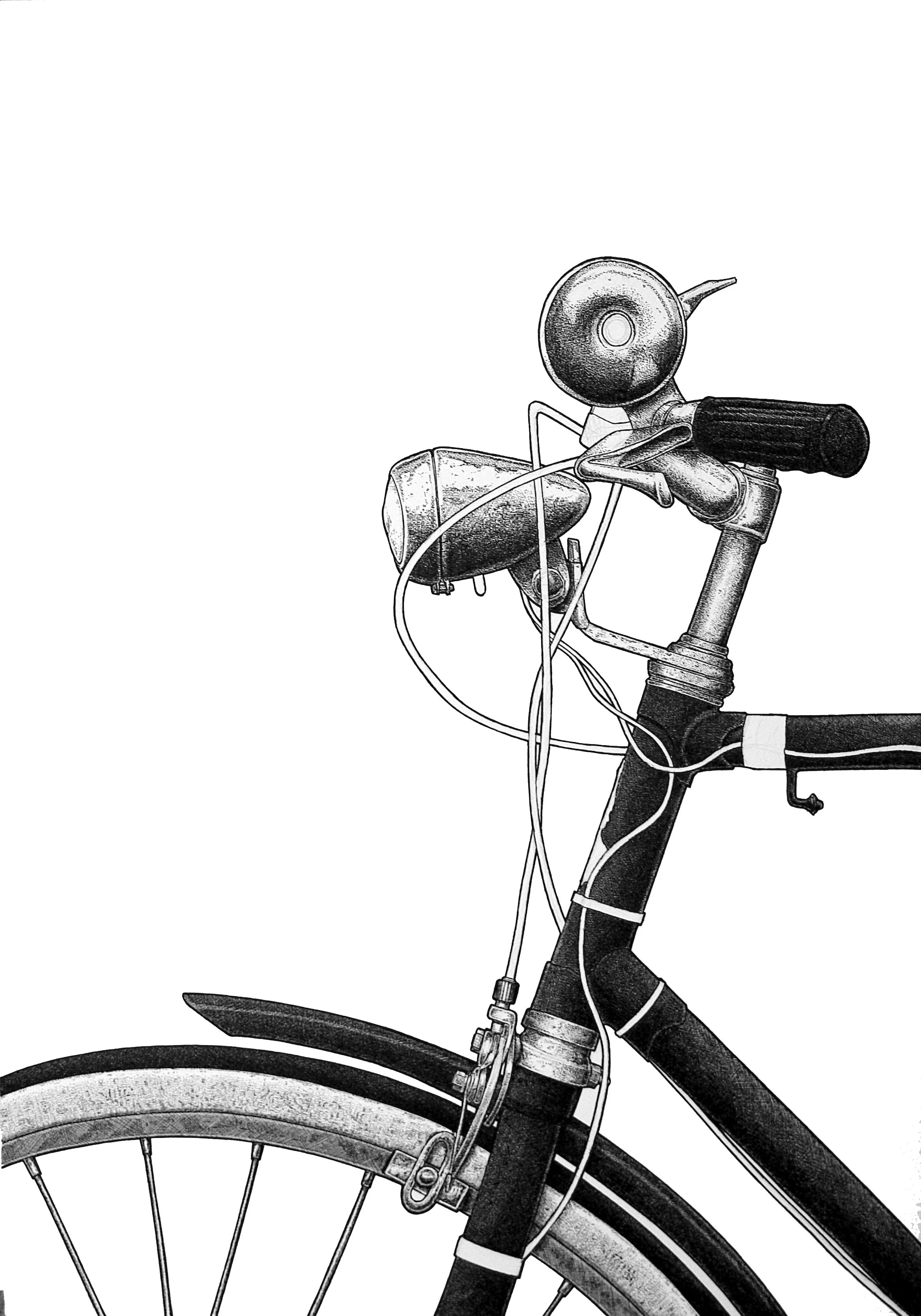 bike portrait.jpg