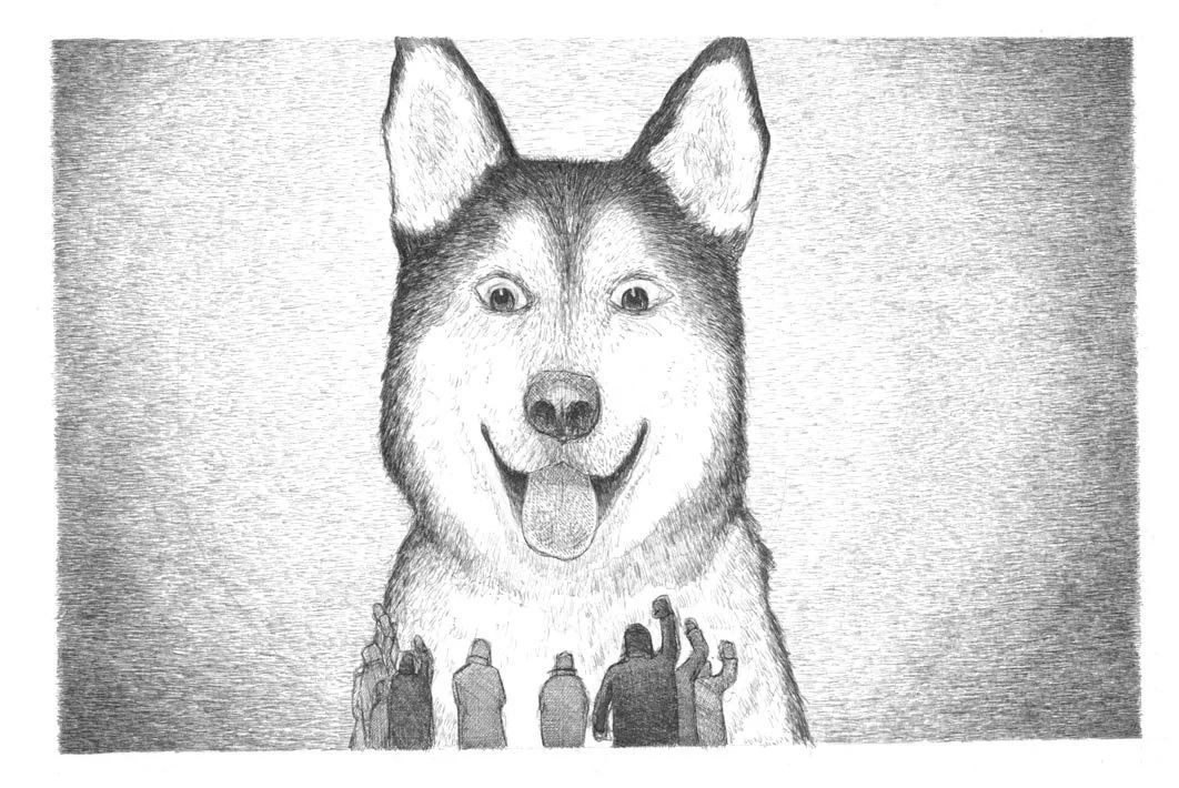 dog.jpg