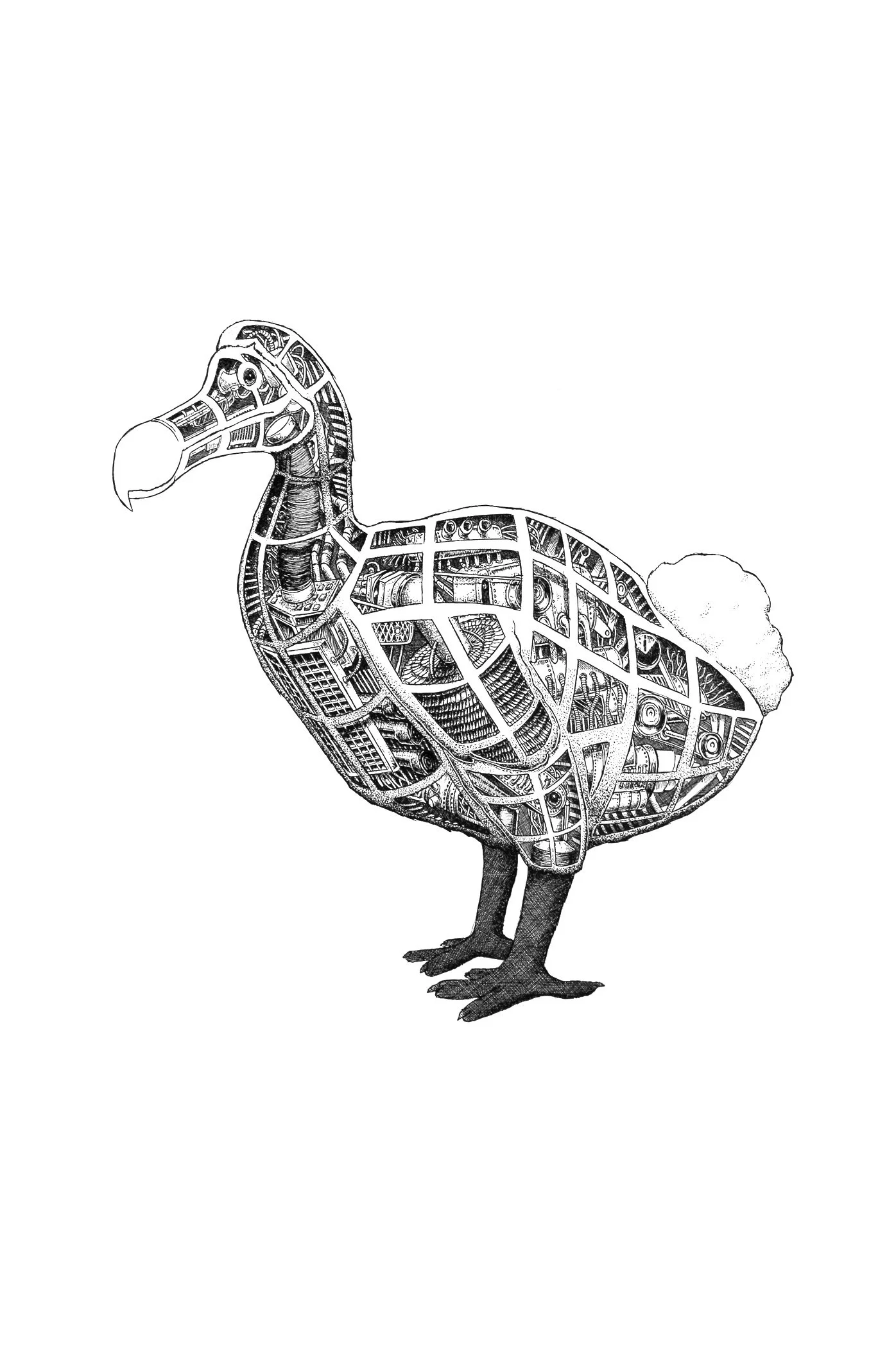 Dodo.jpg