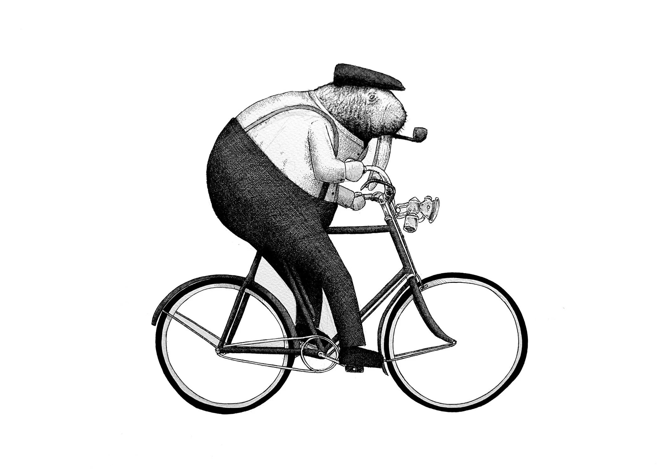 ANIMAL BIKES WALRUS.jpg