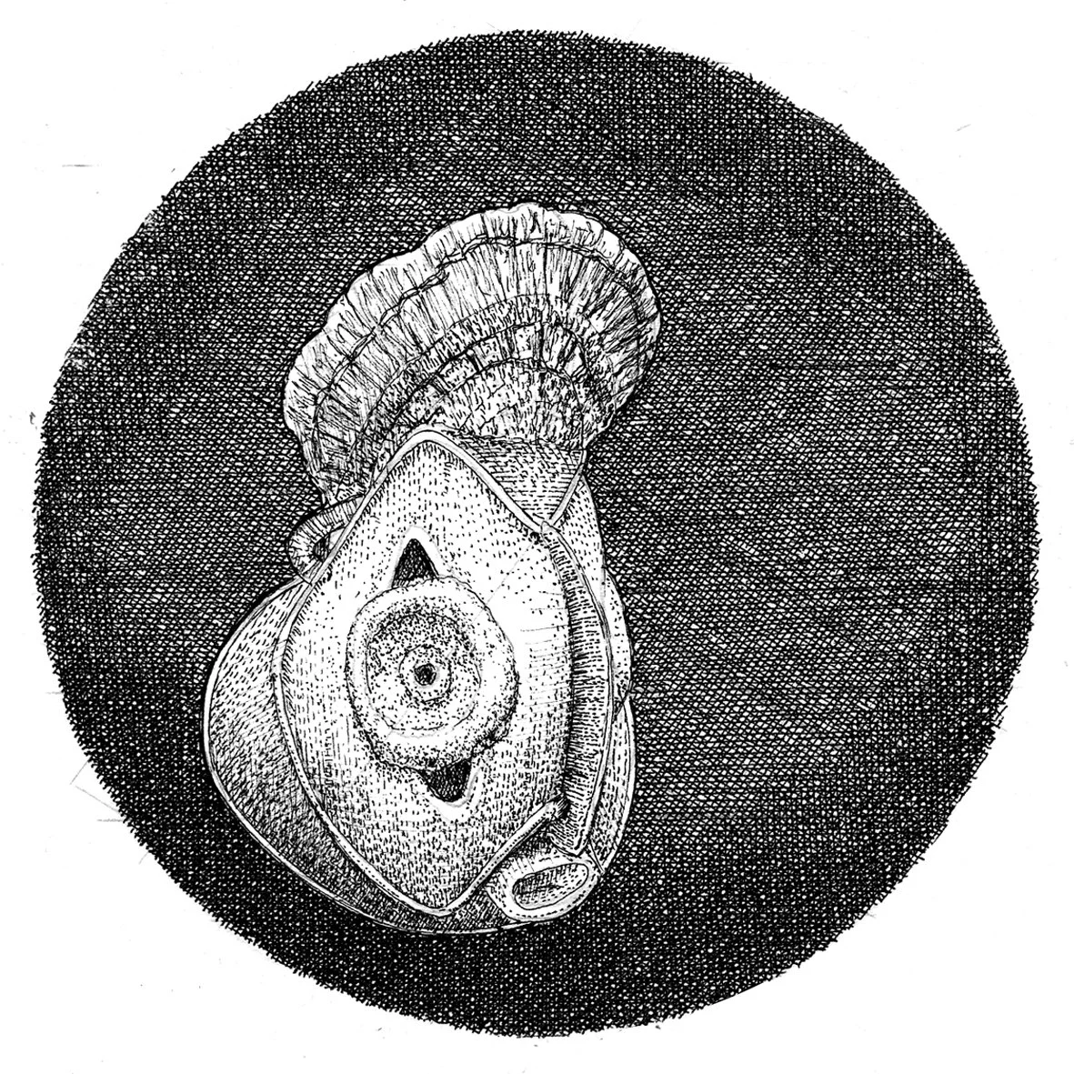 106.jpg