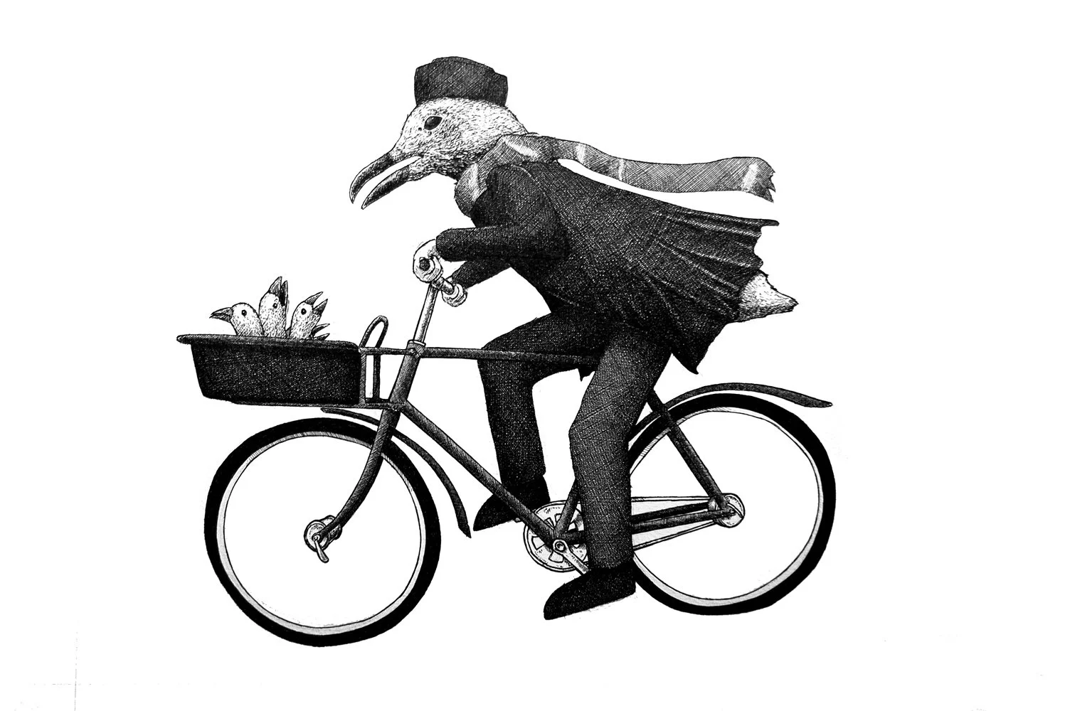 ANIMAL BIKES (4).jpg