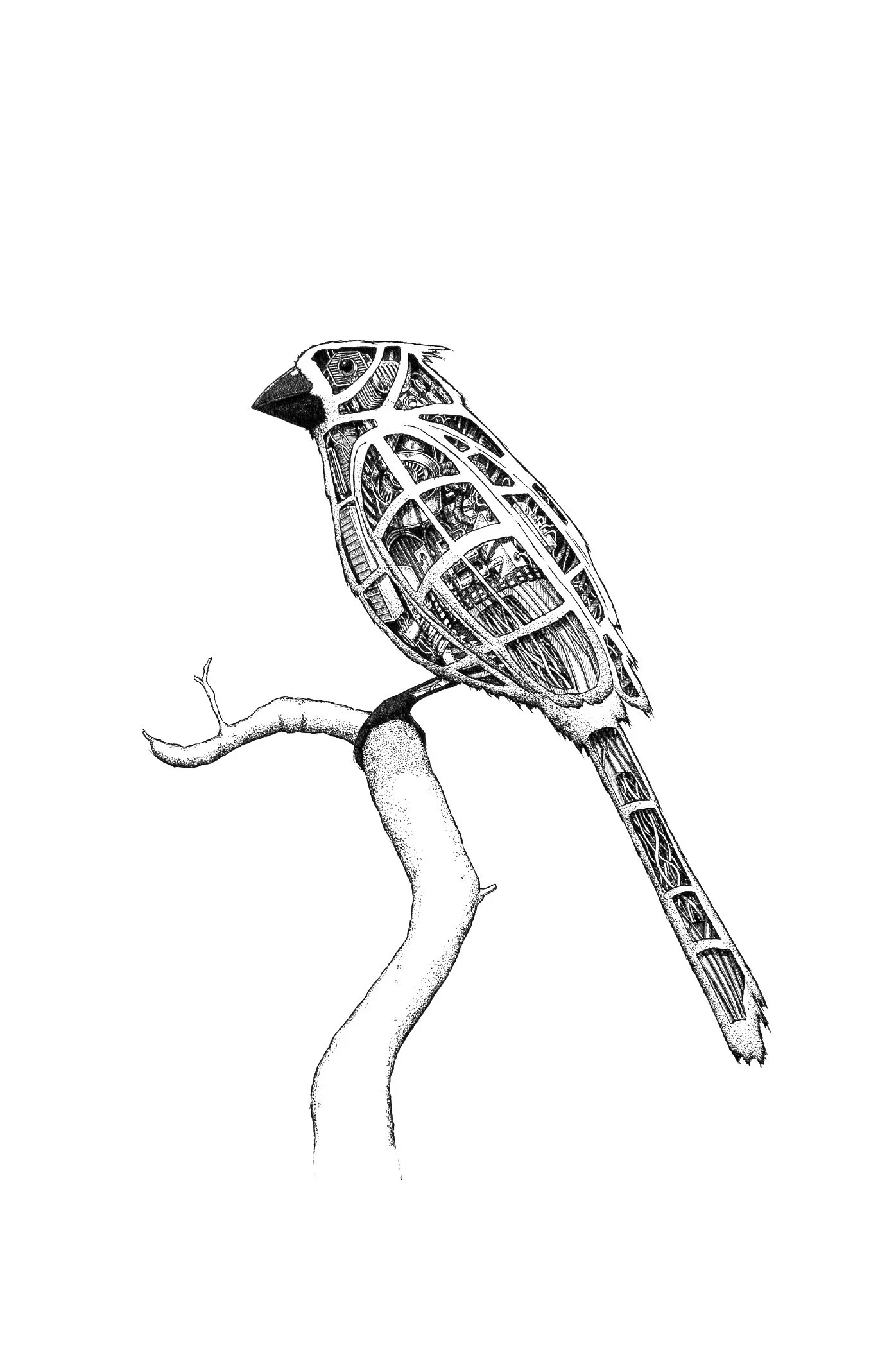 Natural History Museum Exhibition (9).jpg