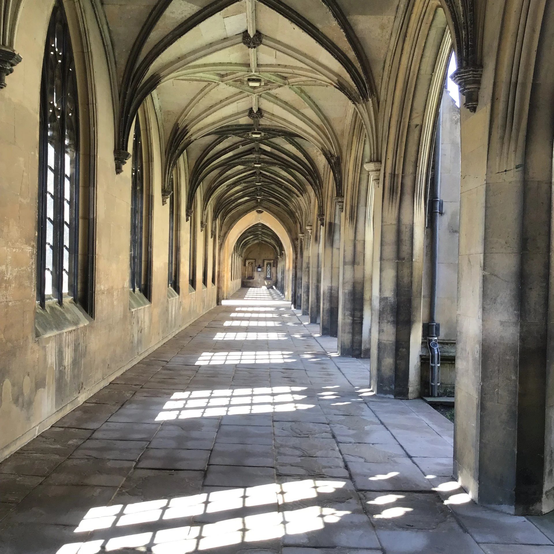 a21b71d0-3449-4efa-a896-6aca5f3f86f7.jfif