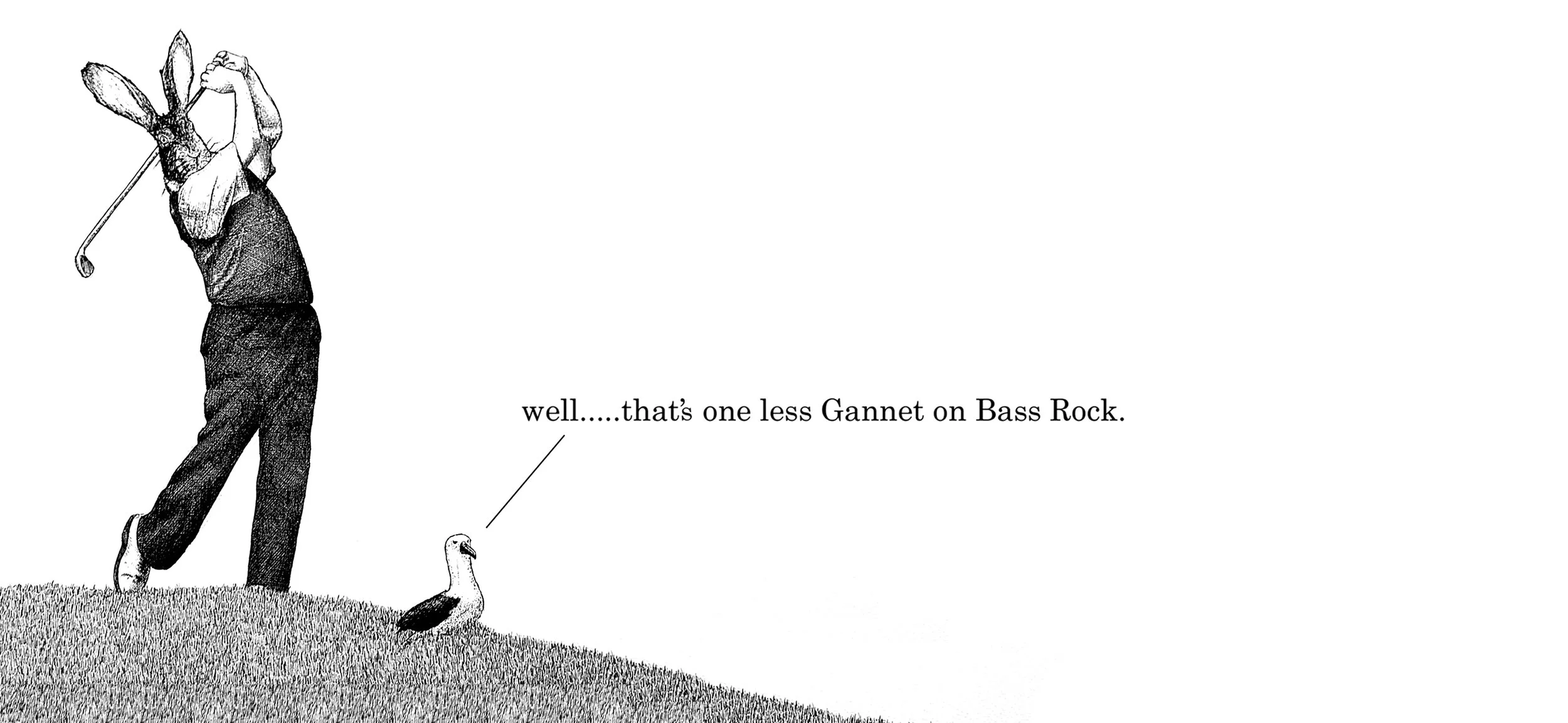 GOLF RABBIT.jpg