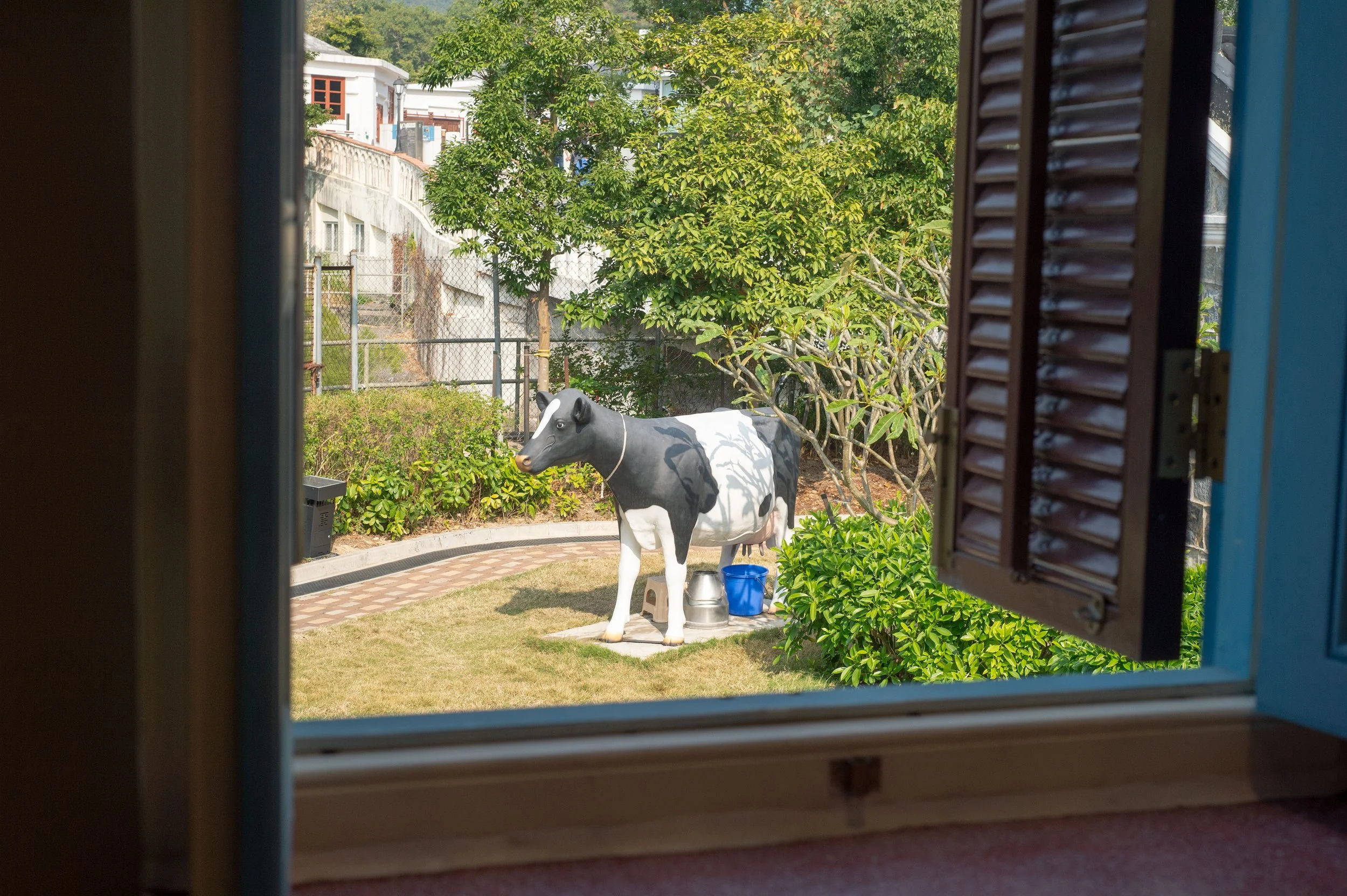 The Pokfulam Farm 薄扶林牧場