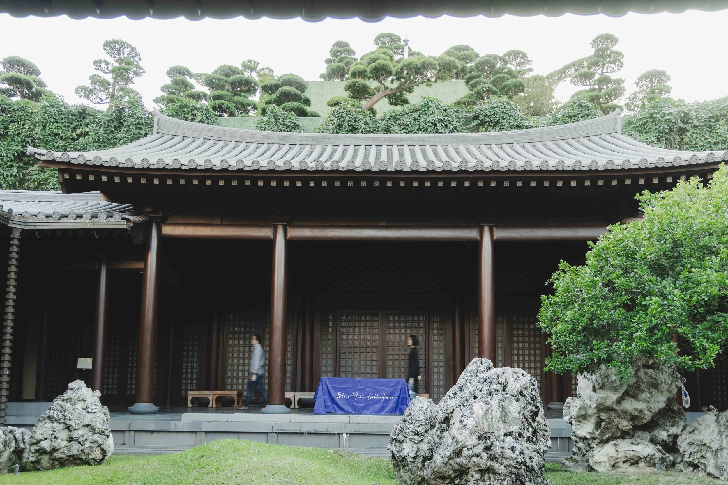 nanlian garden hong kong 南蓮園池