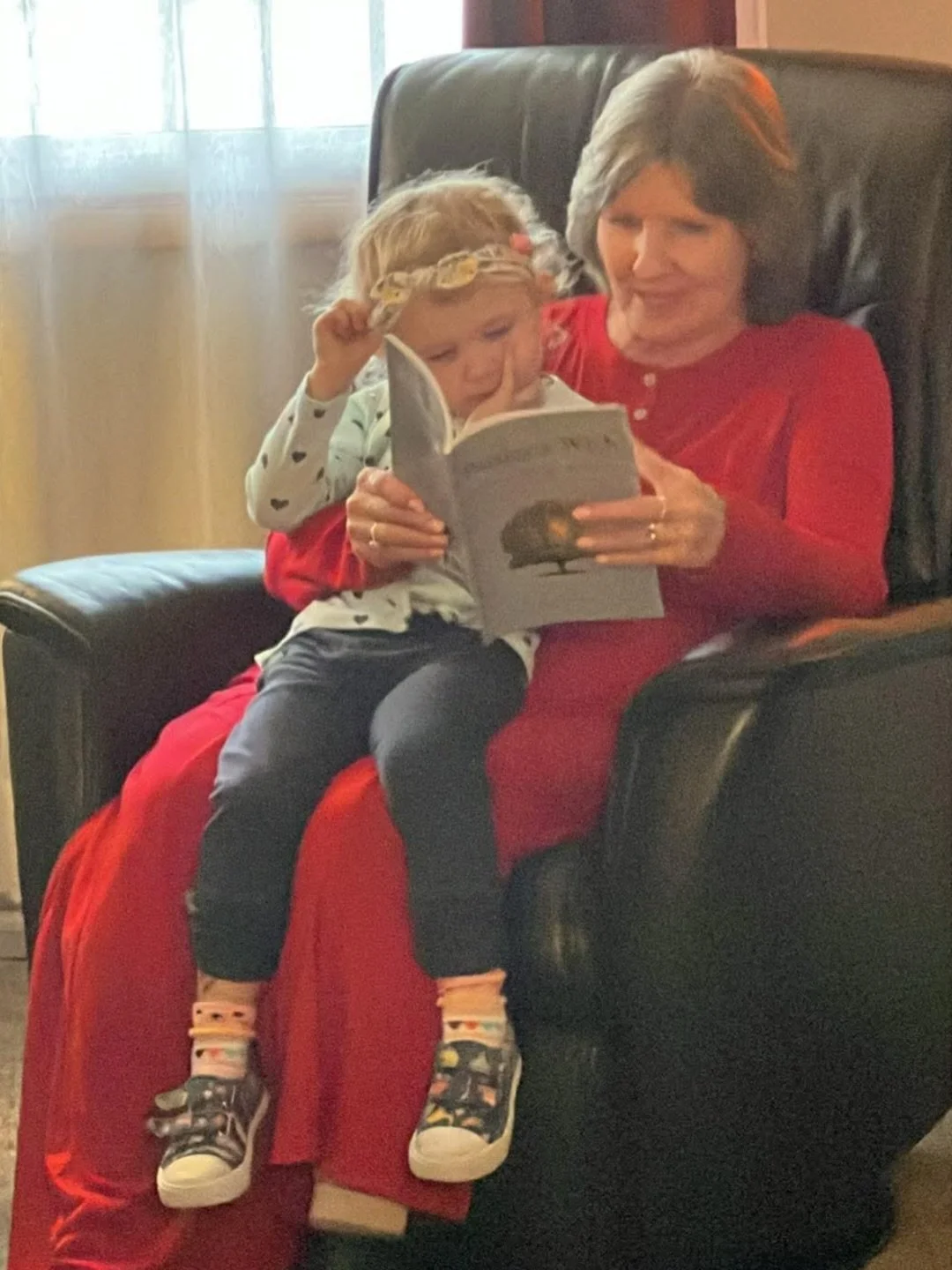 A special Moment Wednesday. 🤍. I was sent this photo&mdash;Grandma &amp; granddaughter (my mom and niece) reading Paisley&rsquo;s Wish.  I also opened my journal, and these pressed leaves fell out. I had forgotten I placed them there. A reminder of 