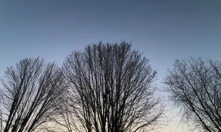 From sunrise to sunset there is beauty to notice. #mapleprairie #spring #noticing #sunrise #sunset