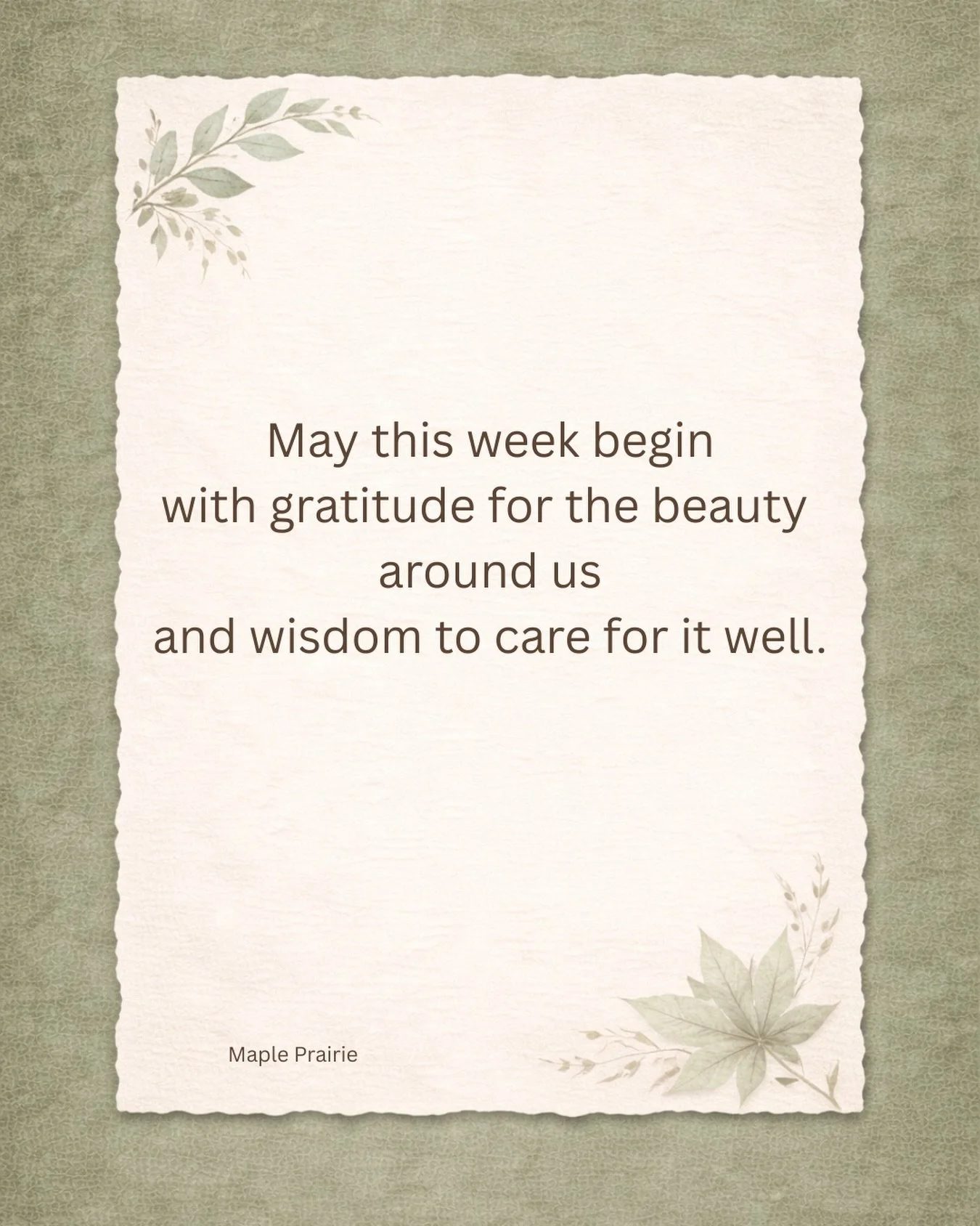 Monday Blessings 🤍🌱#blessings #earthweek #mapleprairie #stewardship