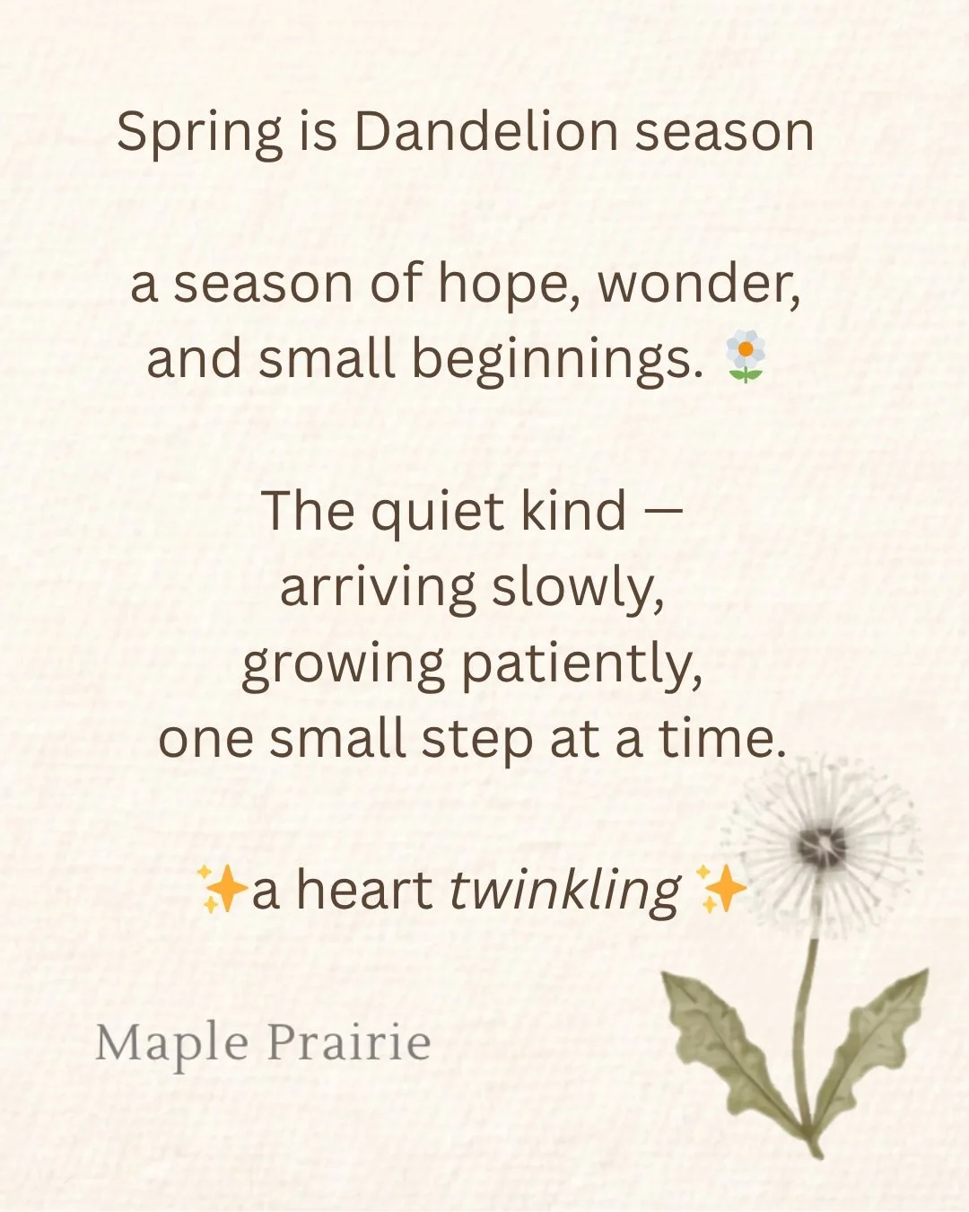 Spring is Dandelion season&mdash;
a season of hope, wonder, and small beginnings. 🌼

🌿 What small beginning are you noticing this season?
#mapleprairie #dandelionseason #hopeandwonder #smallbeginnings