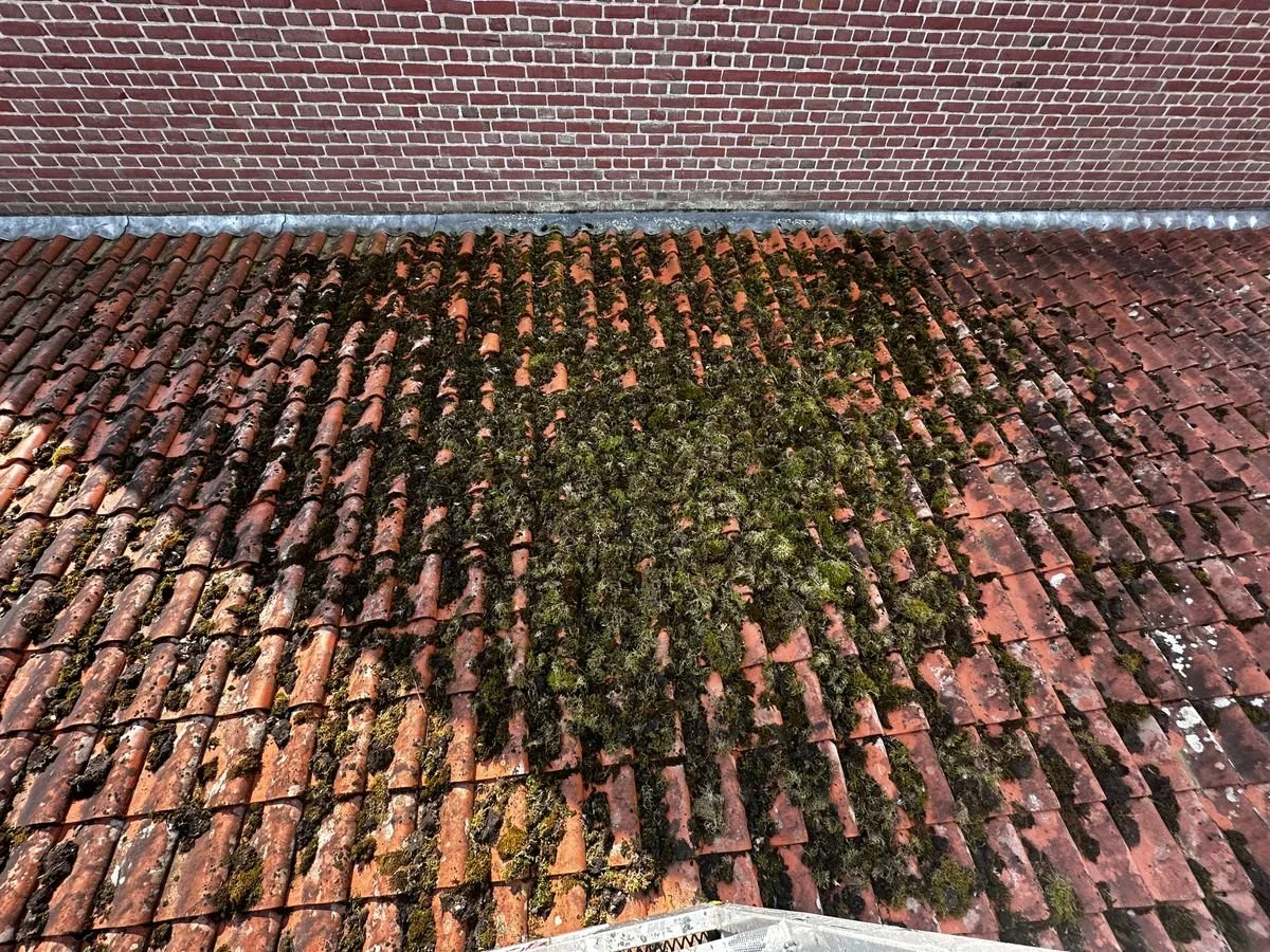vuil, mos en algen op dak van huis