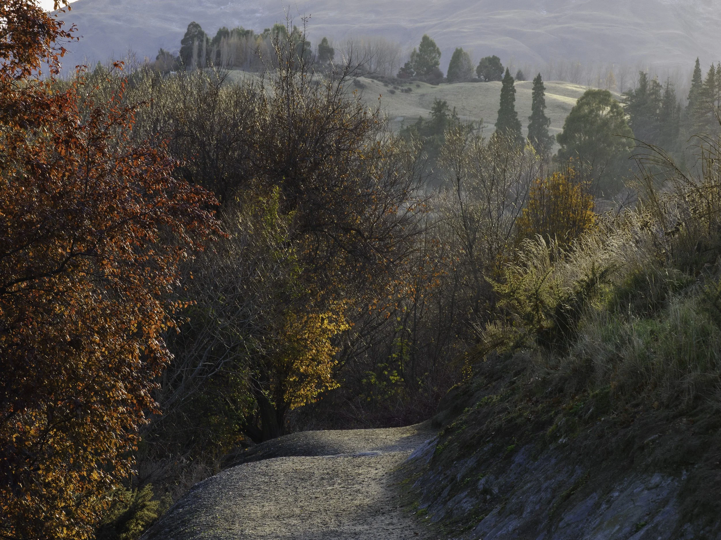 the-path-13.jpg