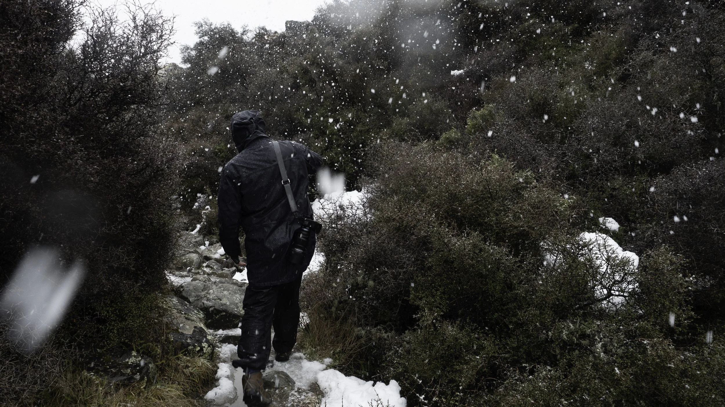 Stewart Baird disappearing into the snow