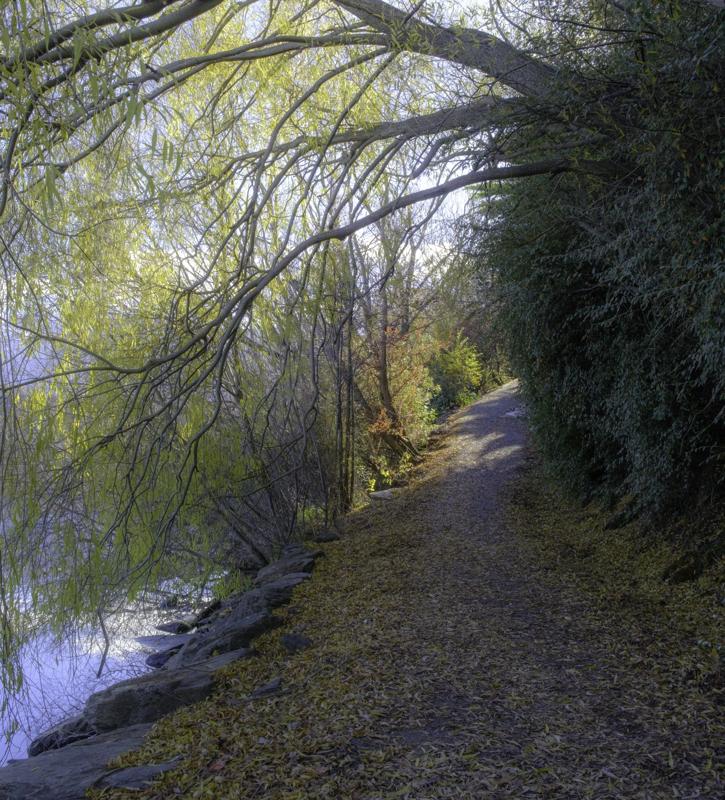 the-path-9.jpg