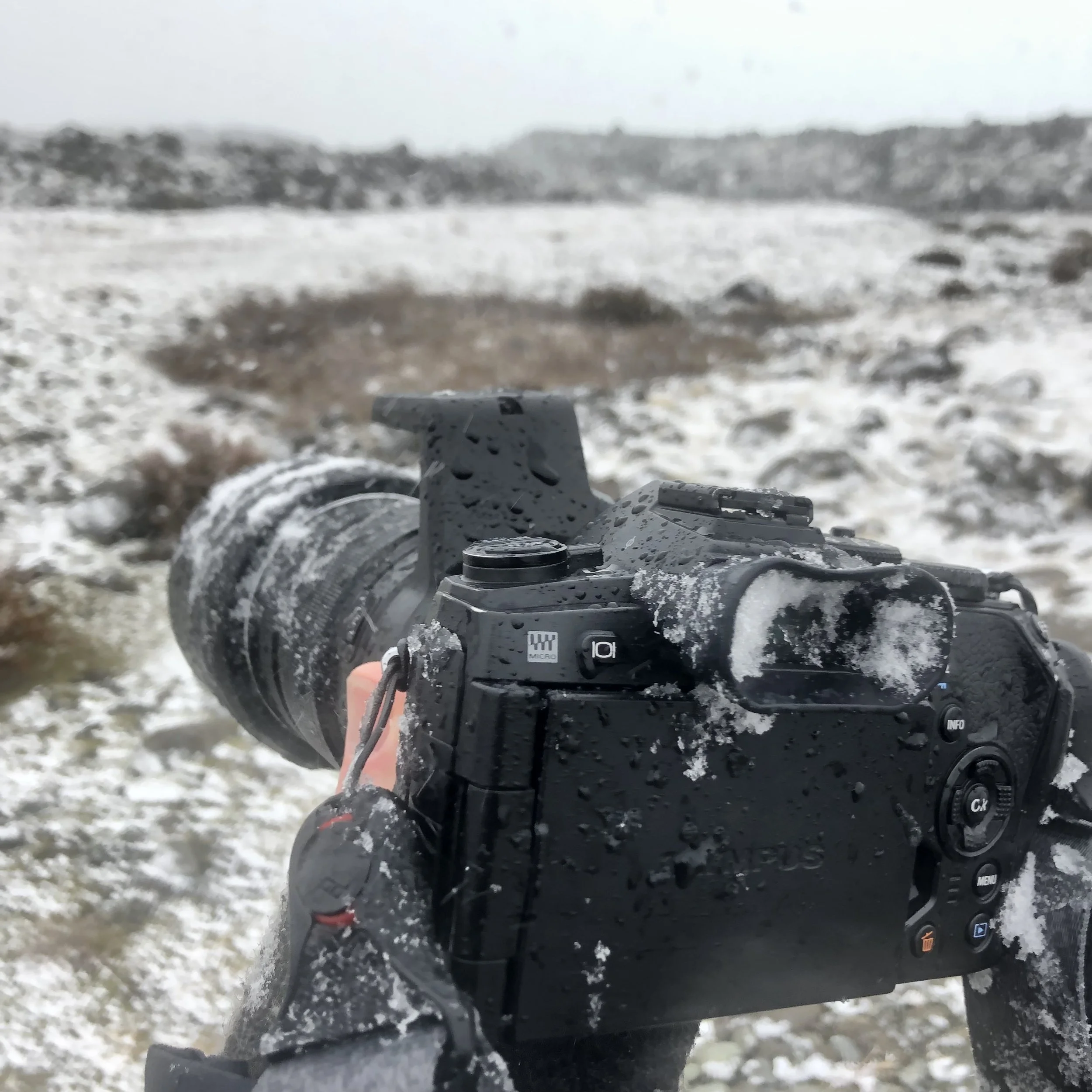 Stewart Baird - working in the snow