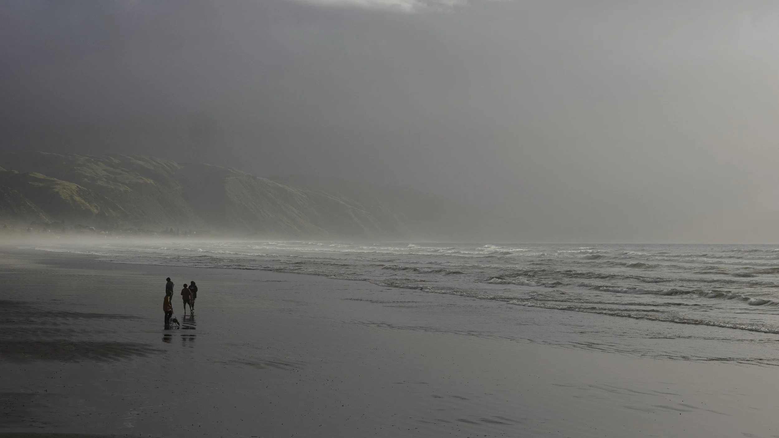 Gray Shores