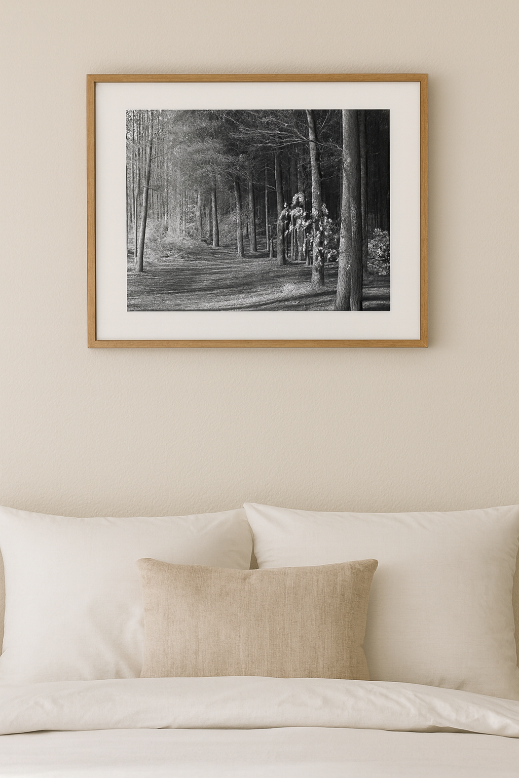 Waikanae-path-example-wall.png