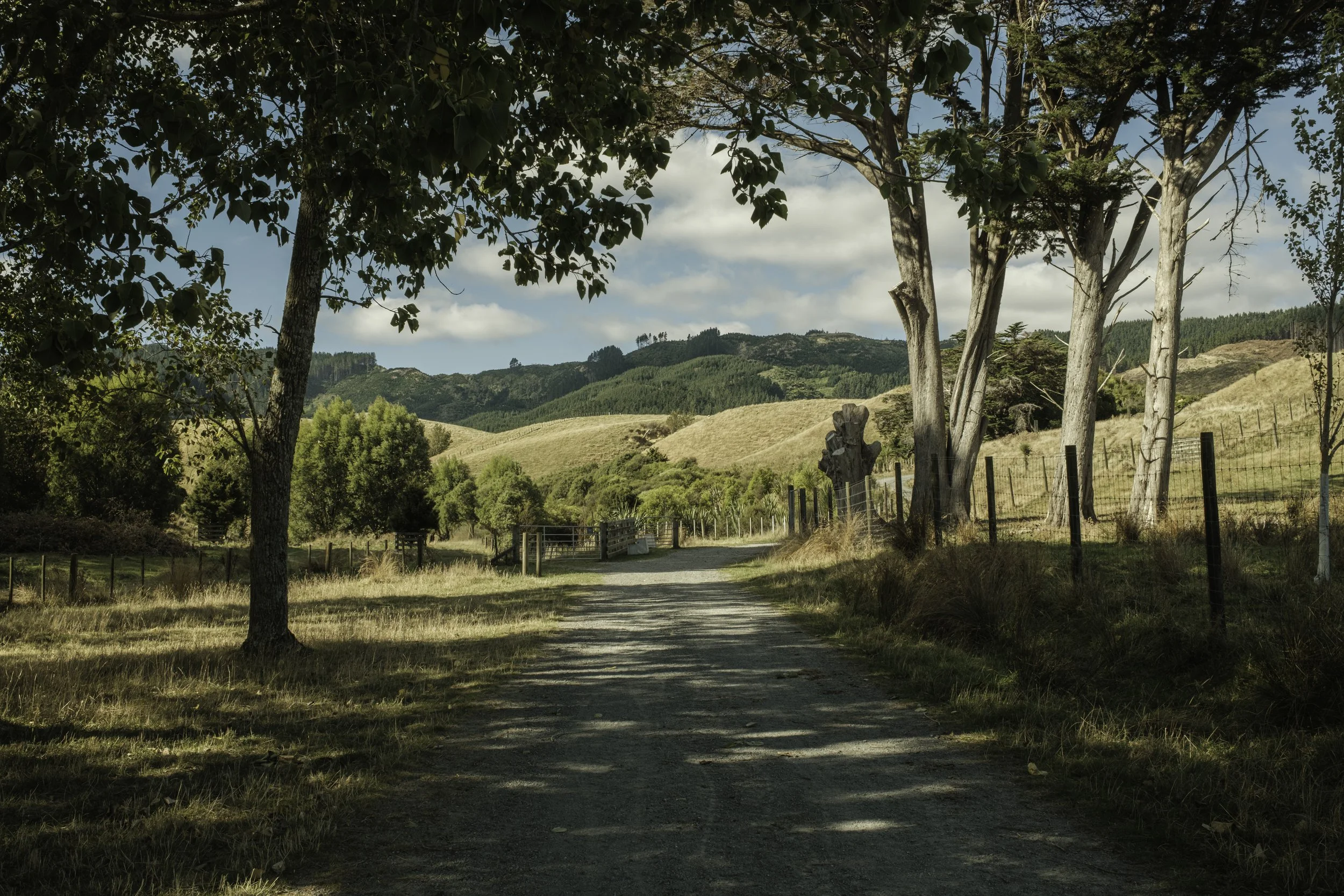 Road to the Sunlit Hills