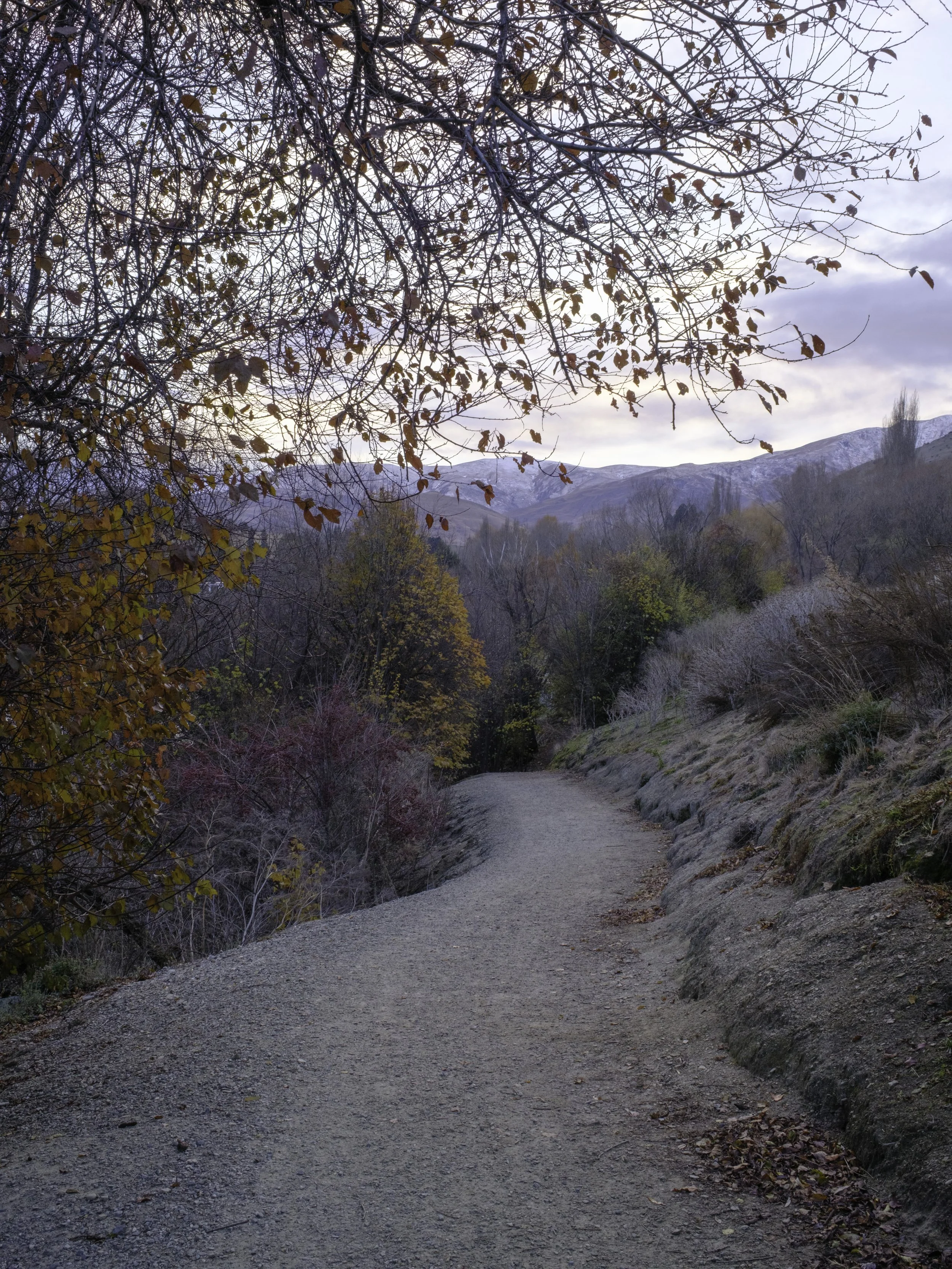 Walking in the Early Morning