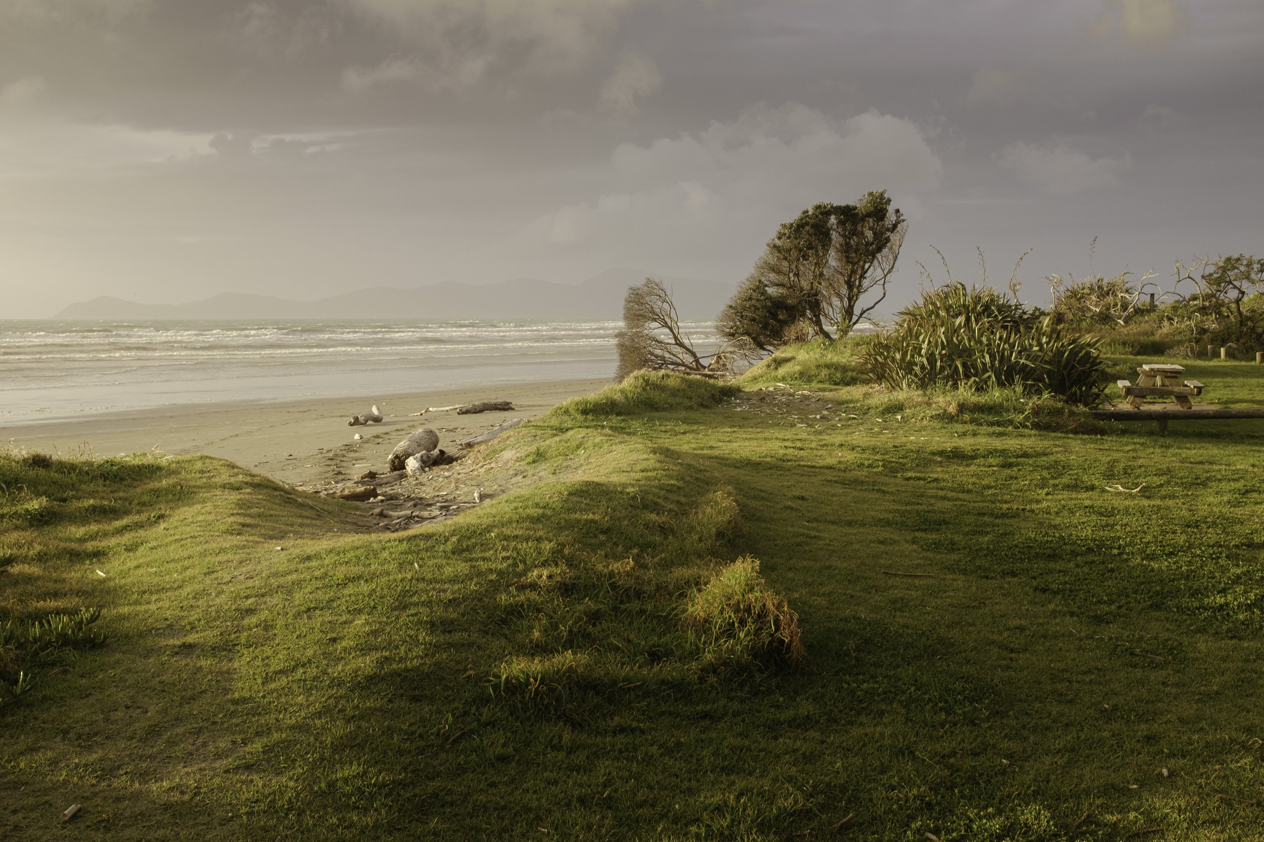 Coastal Picnic, New Zealand
