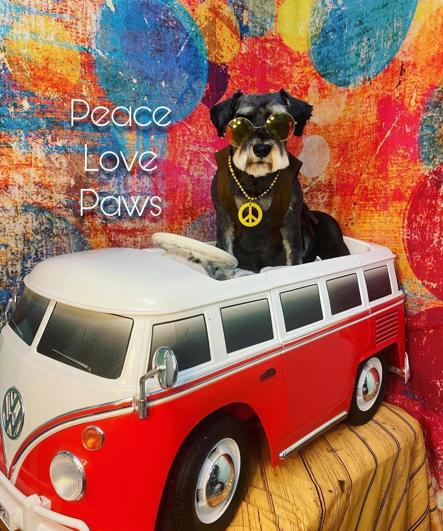 A dog dressed in hippie-style accessories with round sunglasses, a peace sign necklace, and a vest, sitting inside a toy Volkswagen camper van. The background features a colorful, abstract painted wall with the words 'Peace Love Paws' written on it.