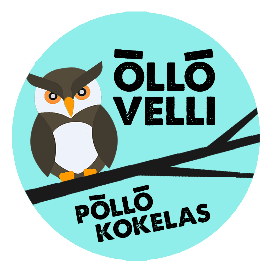 Piirros tietopaketista, jossa on pöllö ja tekstit 'Ollö Velli' ja 'Pöllö Kokelas', taustaväri turkoosi.