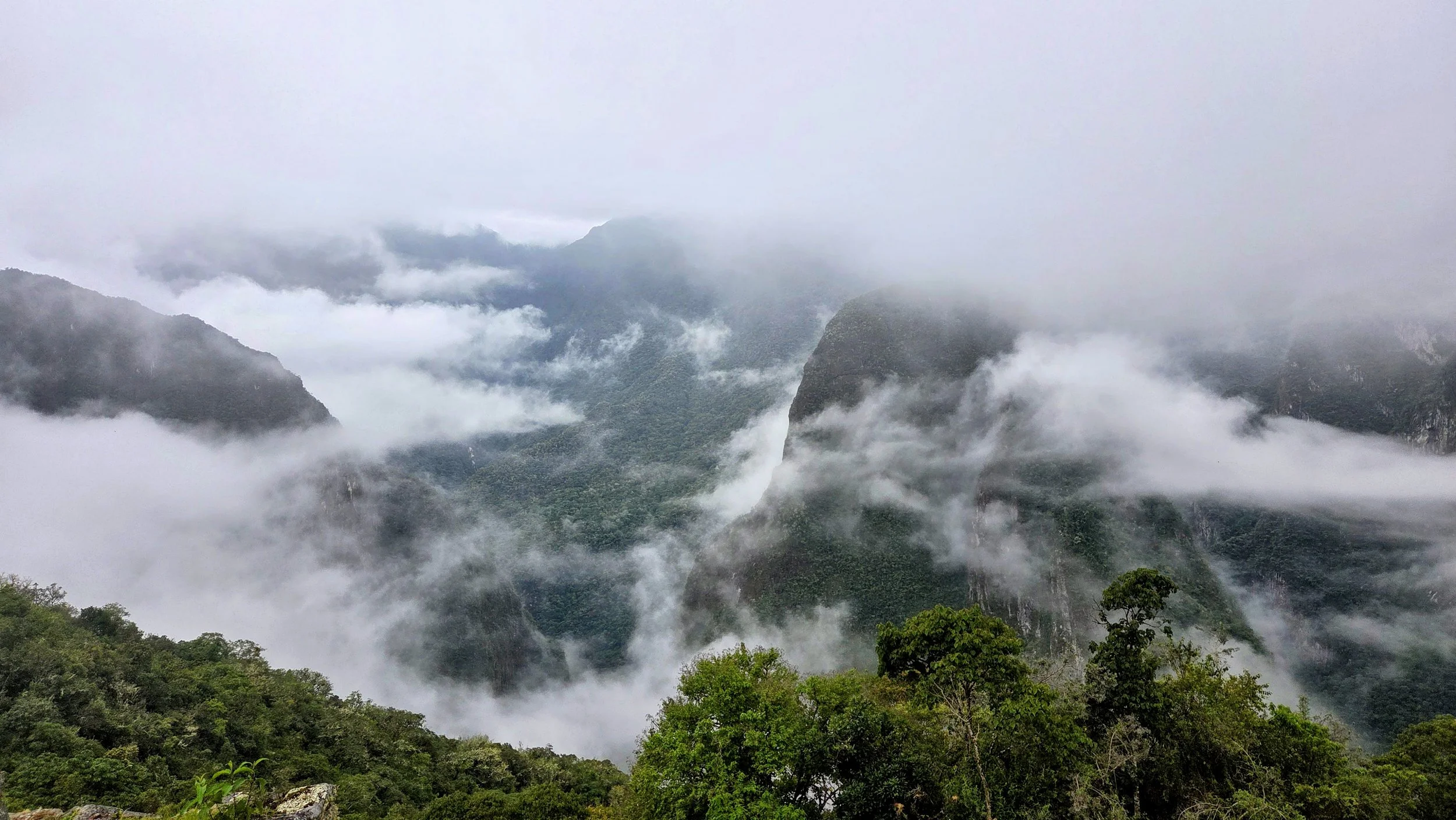 A mountainous landscape shrouded in fog and clouds, with dense green forest at the foreground and mist-covered peaks in the background.
