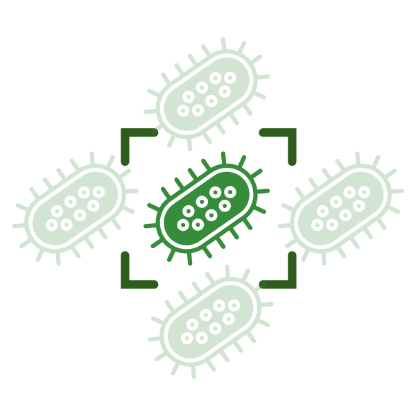 Illustration suggesting how the endolysin platform understands which of the identified endolysins are best for industrial application
