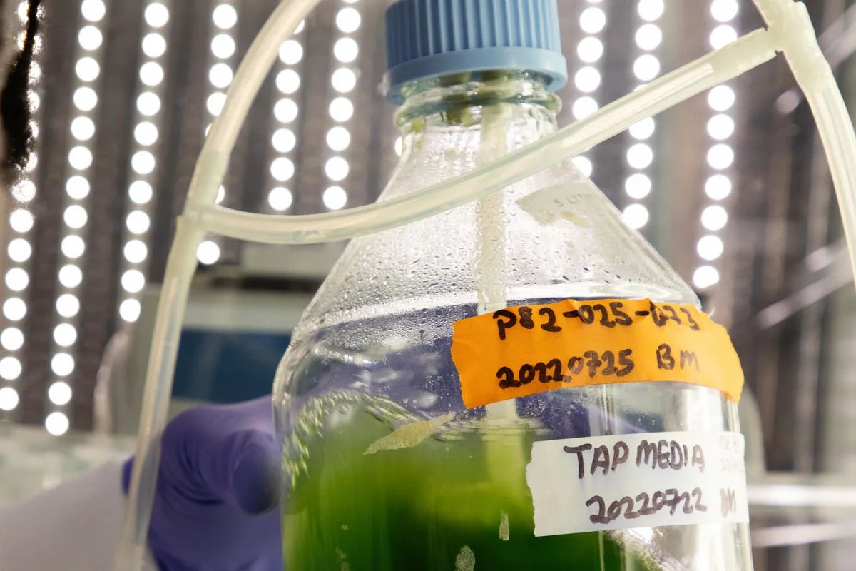 Axitan’s intellectual property gains steam