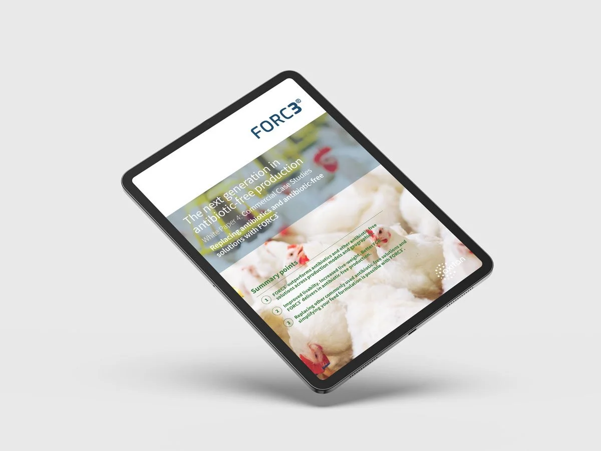 White Paper 4: Commercial Case Studies