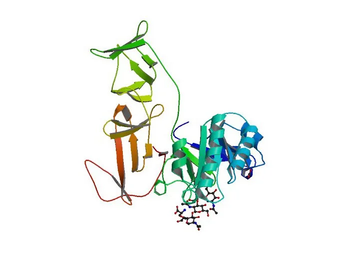 Colored 3D rendering of a protein structure with alpha helices and beta sheets, depicted with ribbon models in green, blue, orange, and red.