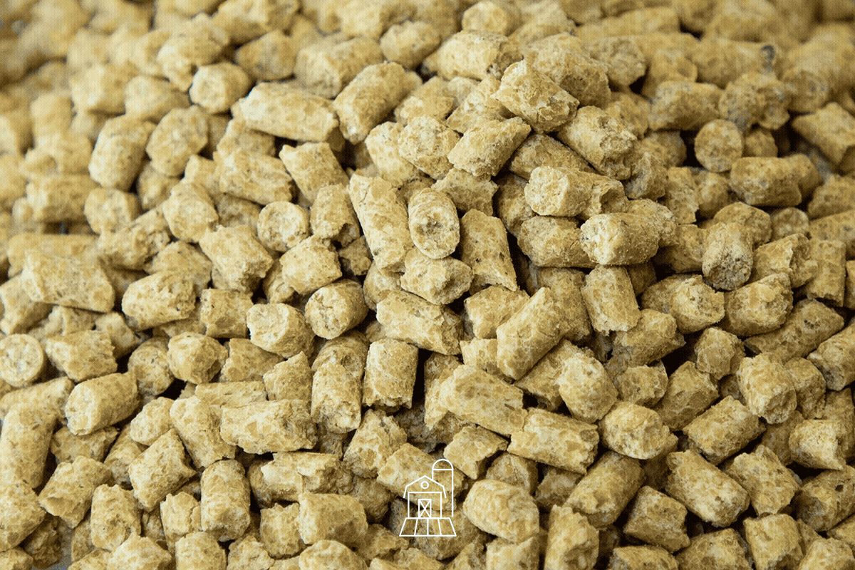 Axitan Forc3 delivery applications