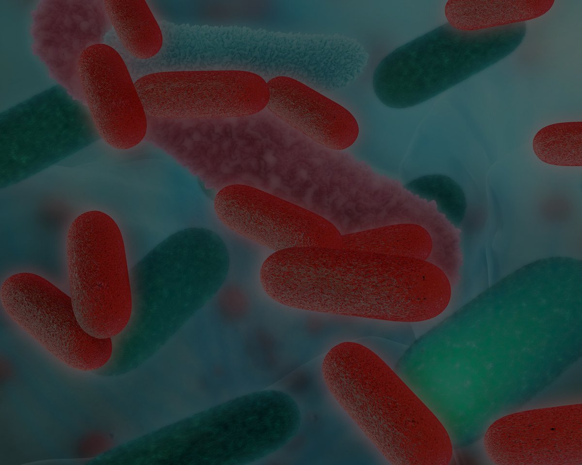 Close-up of several colorful capsules, likely antibiotics or medication, floating in a light blue background, viewed at a microscopic level.