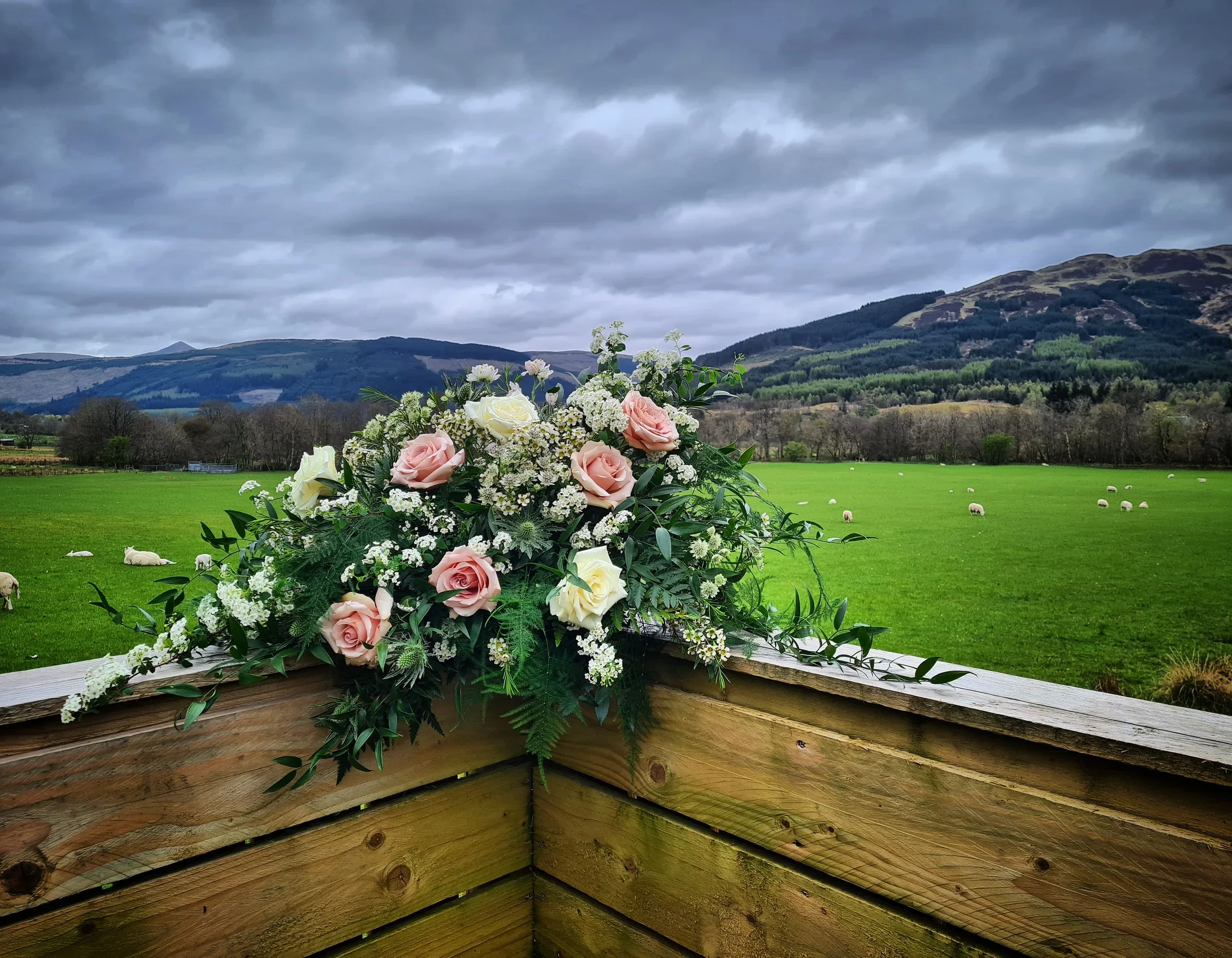 A floral arrangement of pink and white roses with green foliage on a wooden fence, overlooking a green field with grazing sheep and rolling hills under a cloudy sky.