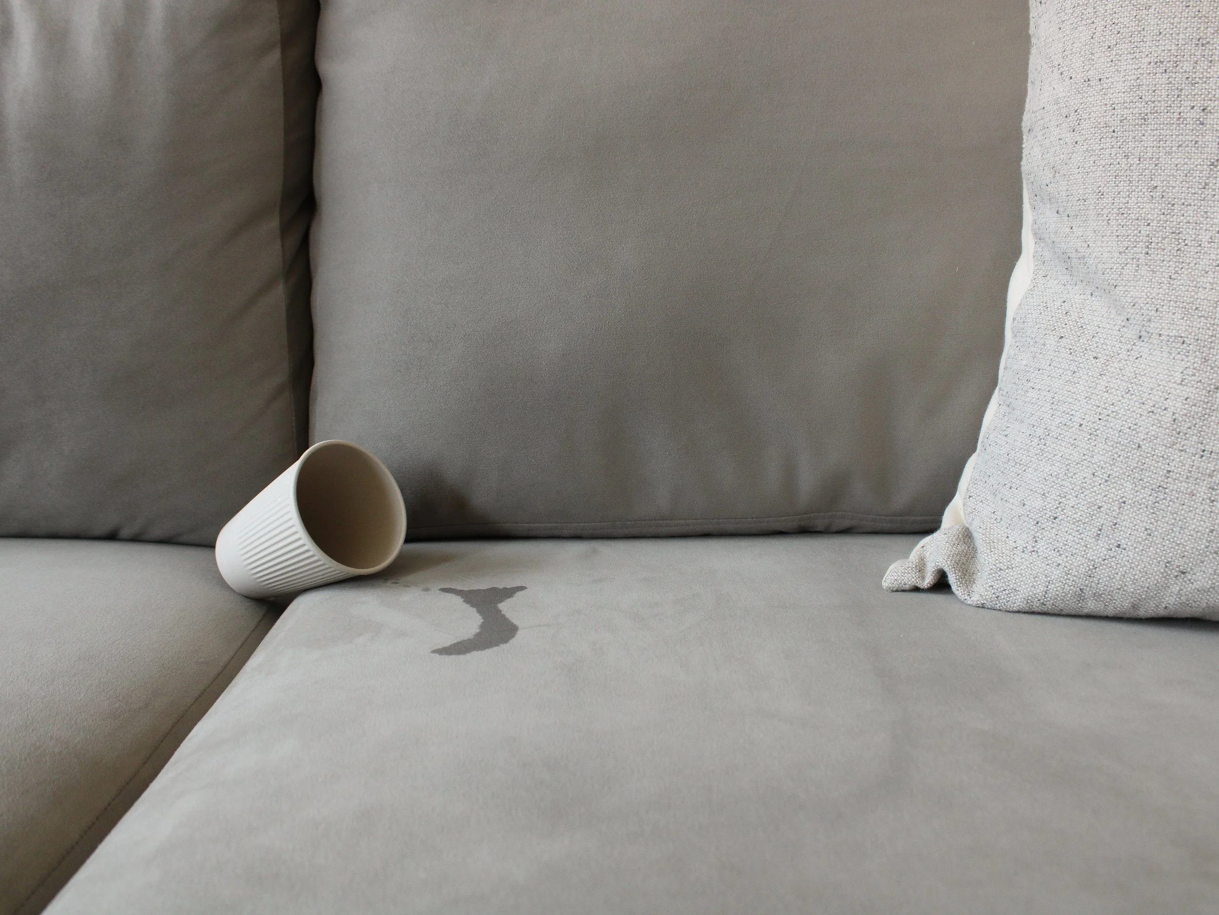 Photo Jul 22 2024, 1 25 25 AM copy.jpg