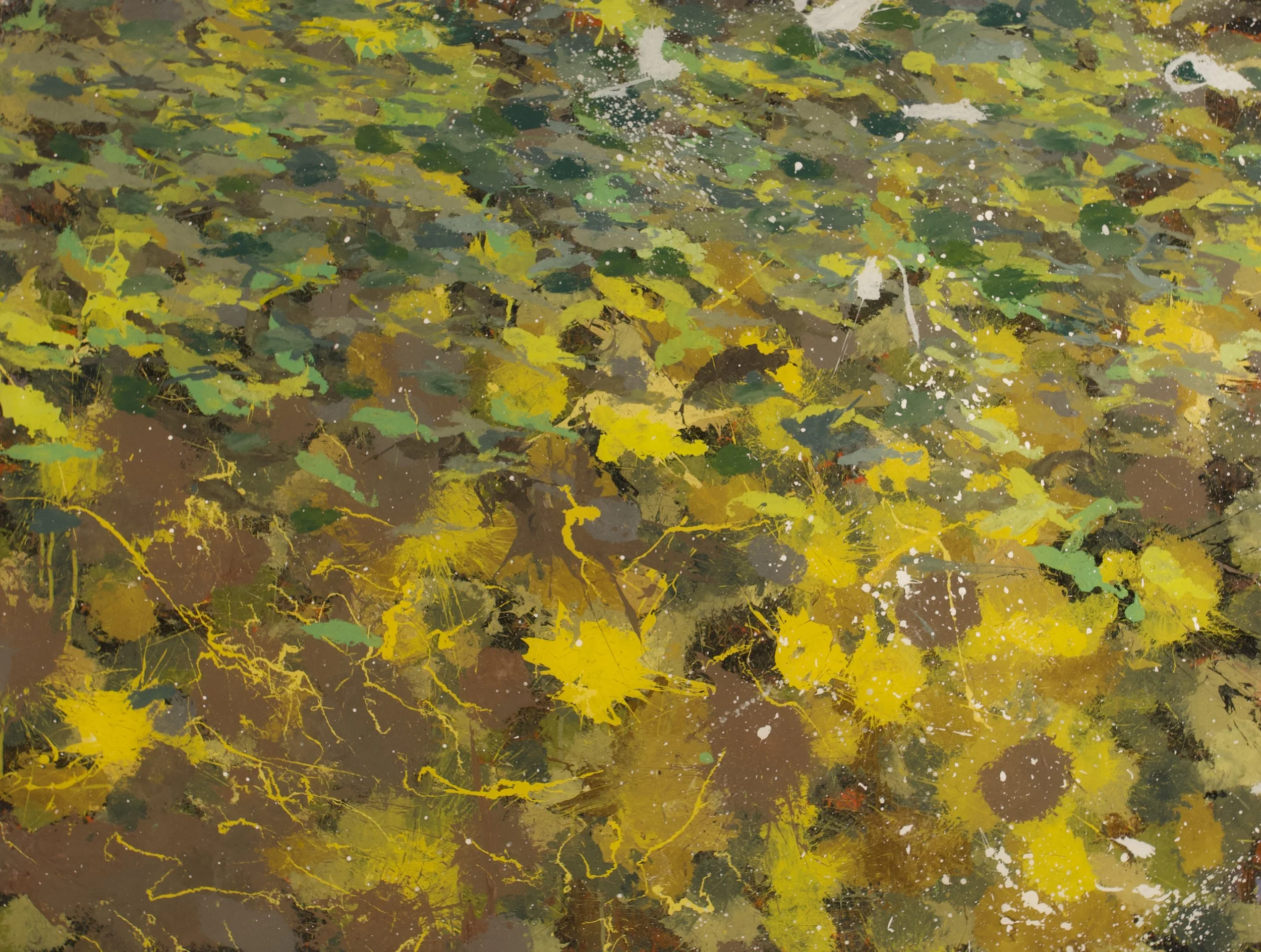 Twisp River, WA (7/10/25), 2025
acrylic on polycarbonate
36 x 48 inches
titled and dated verso