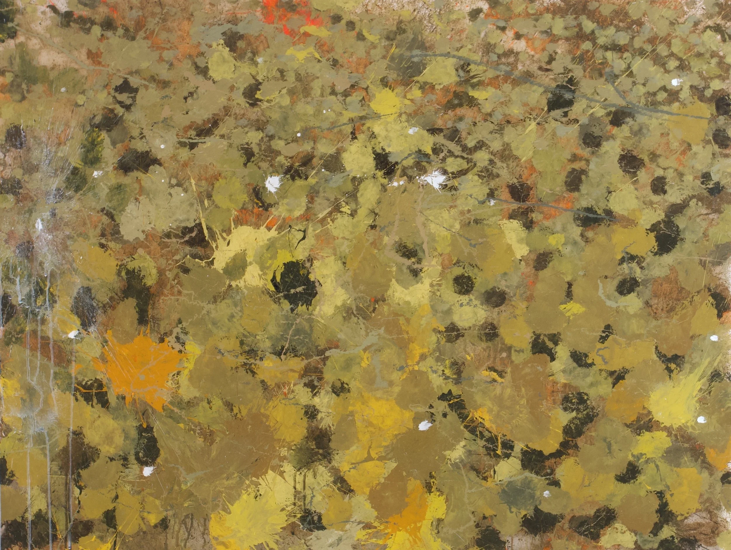 Big Hole River, MT (4/23/24), 2024
acrylic on polycarbonate
36 x 48 inches
signed, titled and dated verso	