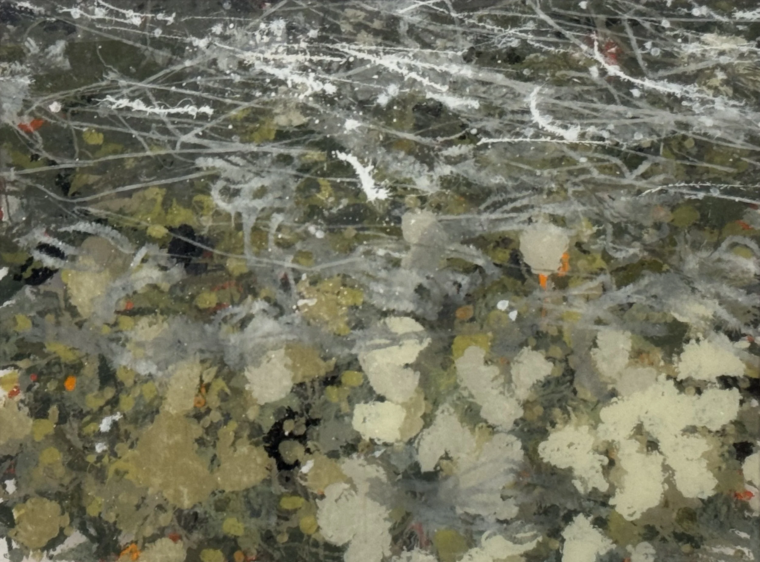 Methow River, WA (12/10/24), 2024
acrylic on polycarbonate
36 x 48 inches
signed, titled and dated verso	