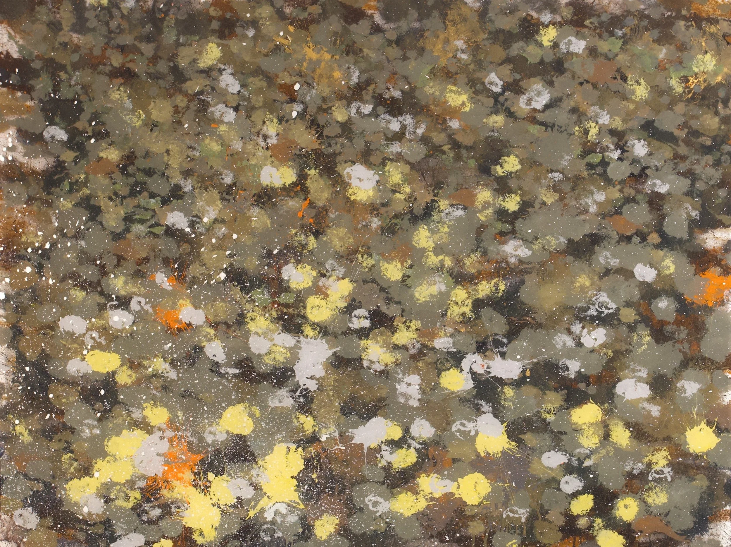 Fisher River, MT (7/27/23), 2023
acrylic on polycarbonate
36 x 48 inches
signed, titled and dated verso	