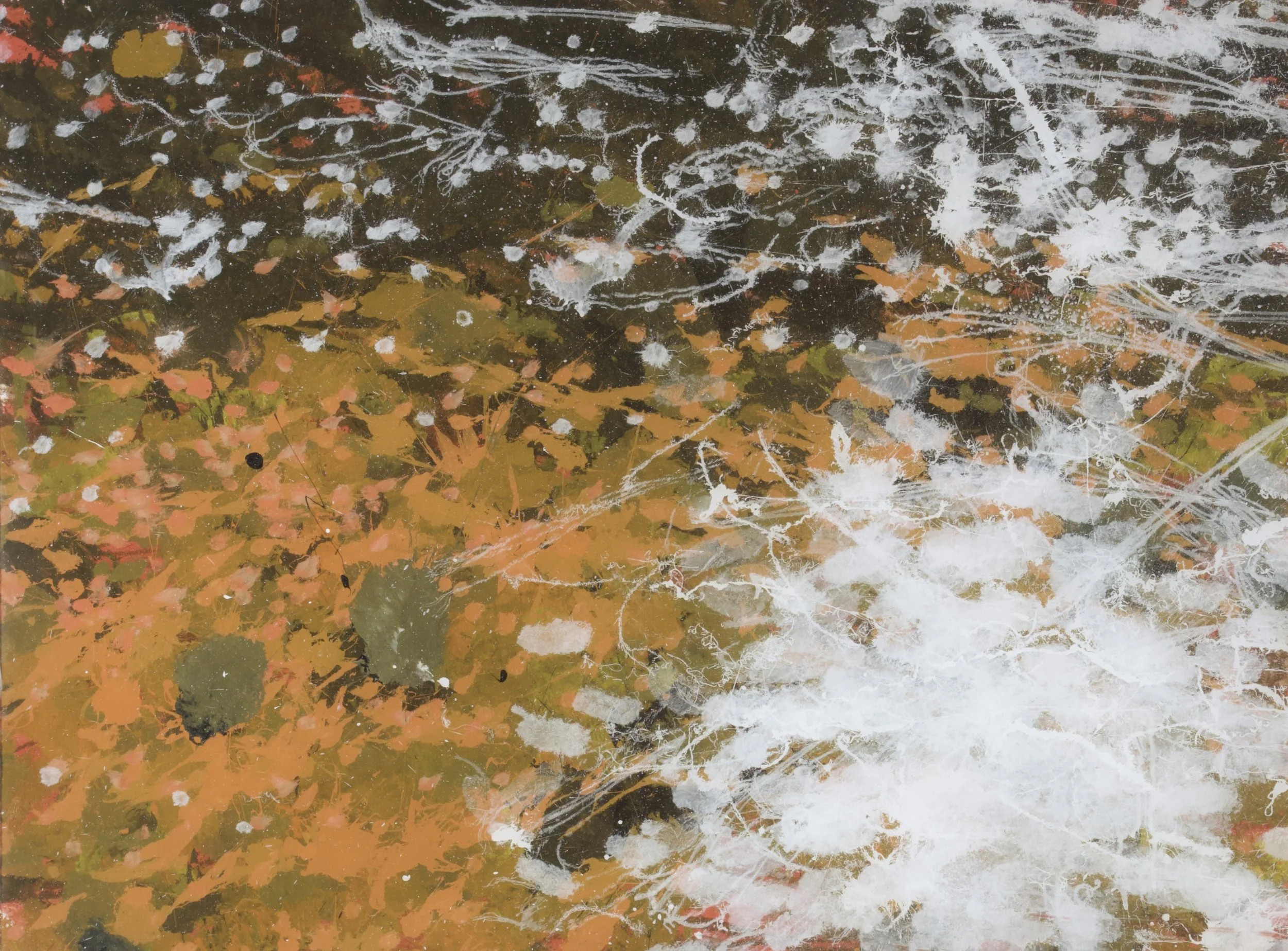 Raft River, WA (2/26/25), 2025
acrylic on polycarbonate
36 x 48 inches
signed, titled and dated verso	