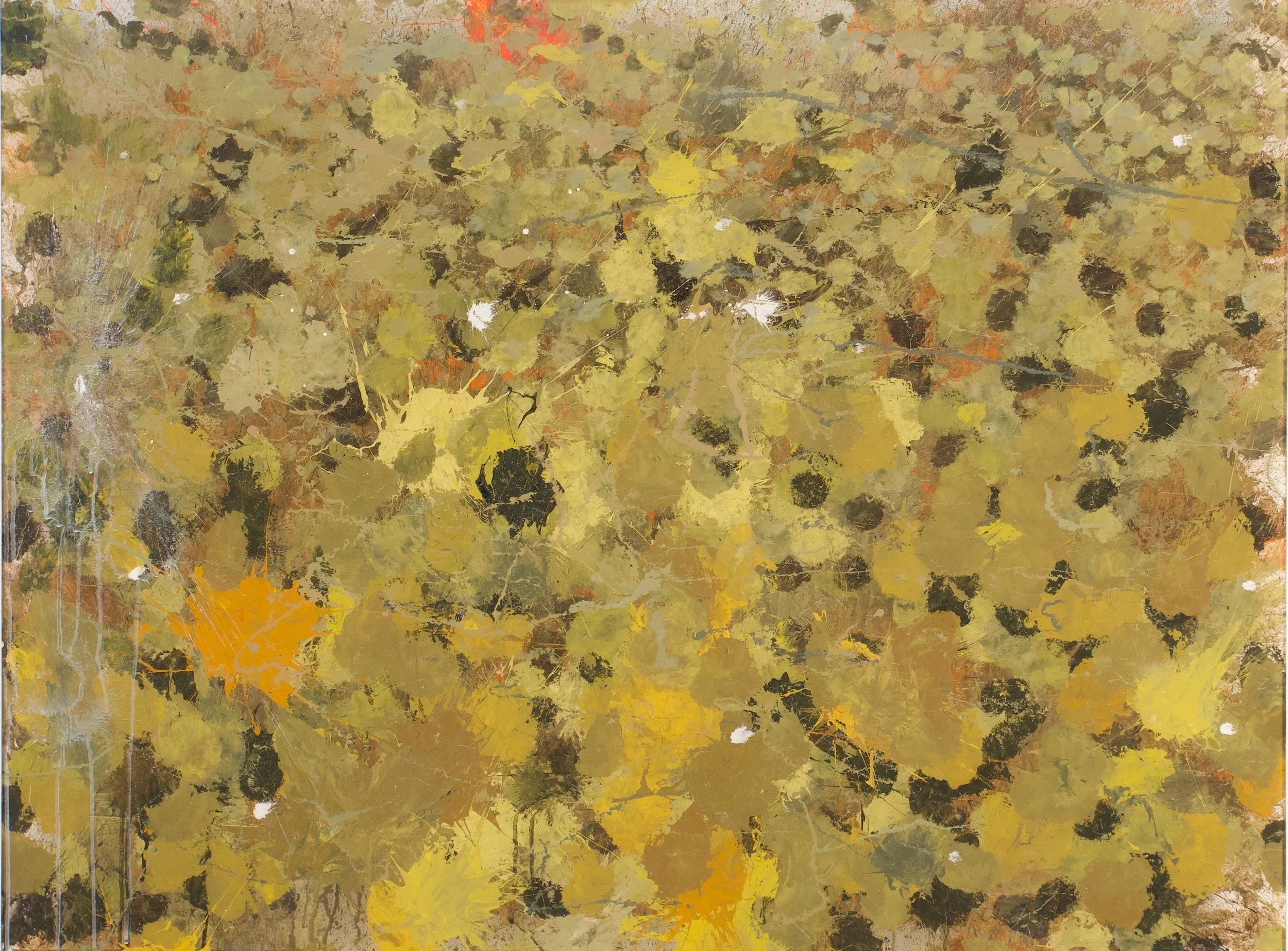 Yaak River, MT (6/26/23), 2023
acrylic on polycarbonate
36 x 48 inches
signed, titled and dated verso	