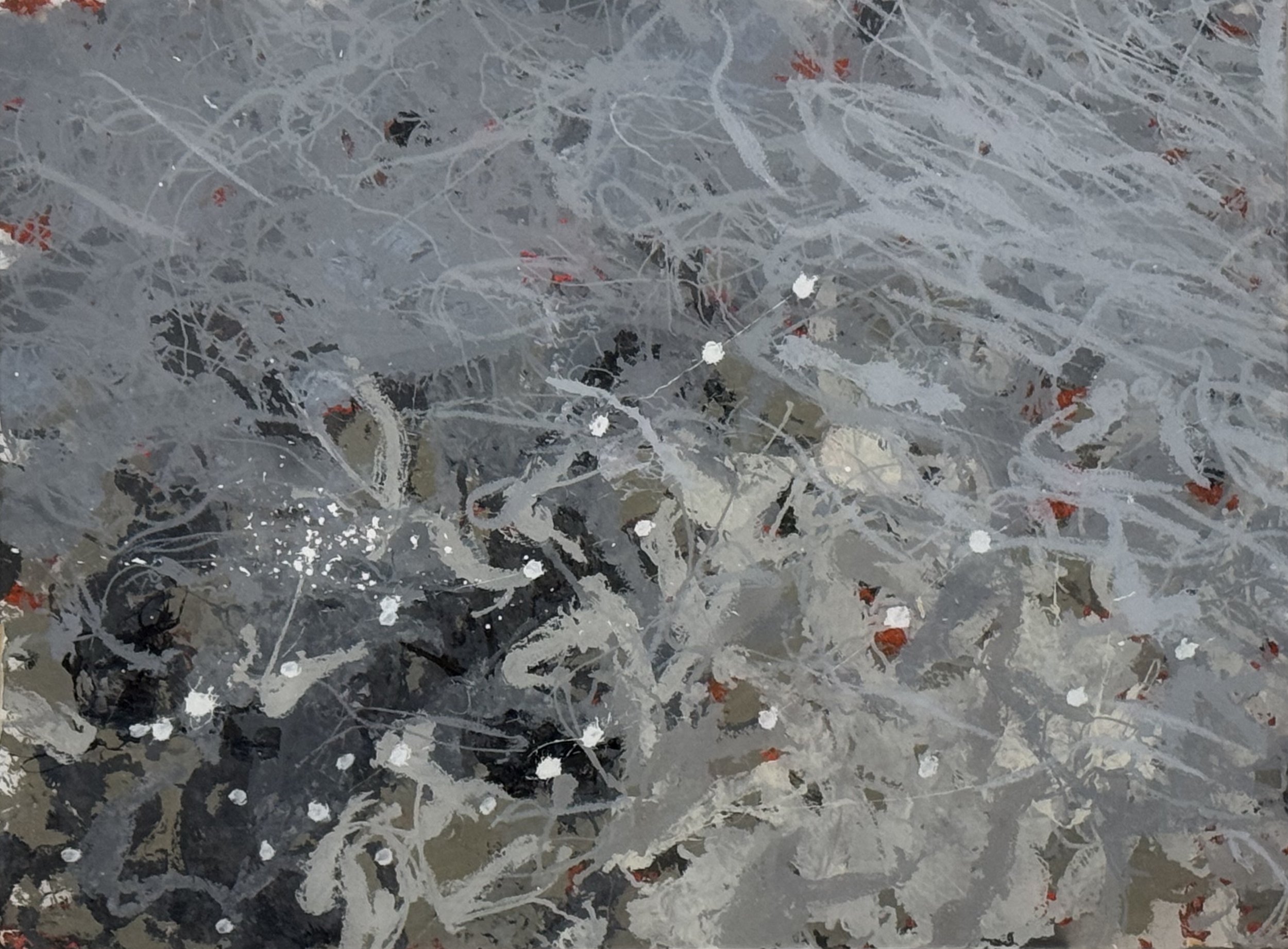 Clark Fork River, MT (11/25/24), 2024
acrylic on polycarbonate
36 x 48 inches
signed, titled and dated verso	