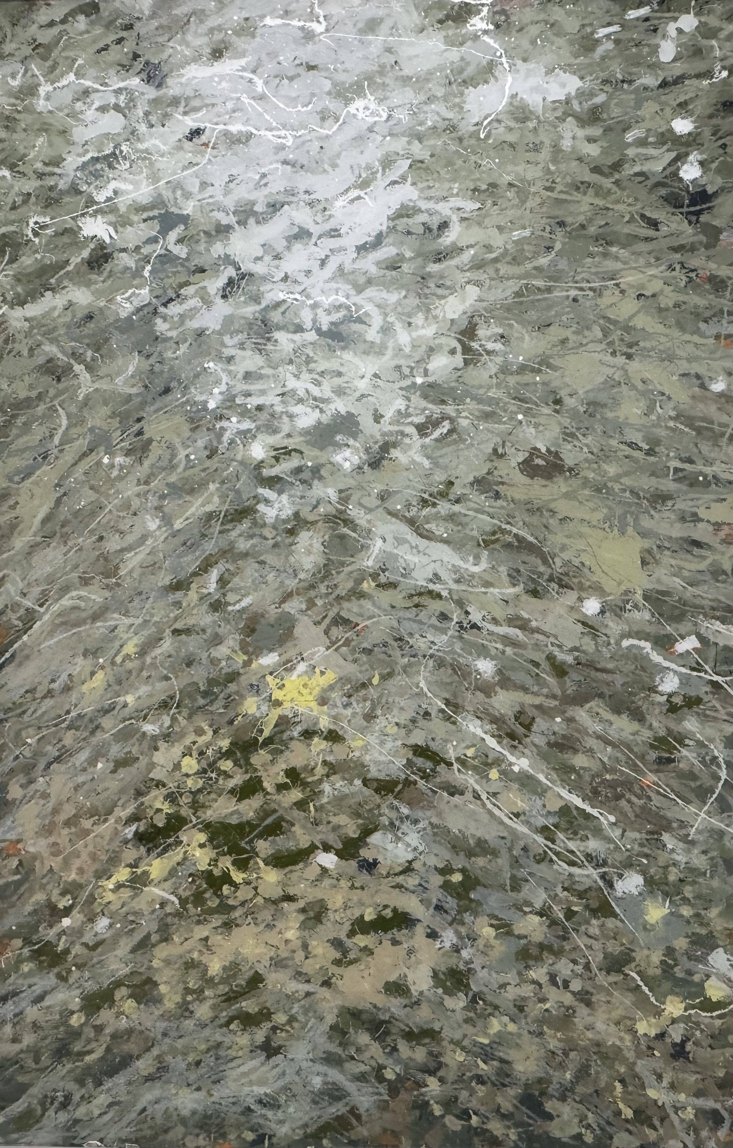 North Branch Chicago River, IL (4/2/26), 2026
acrylic on polycarbonate
72 x 48 inches
signed, titled and dated verso