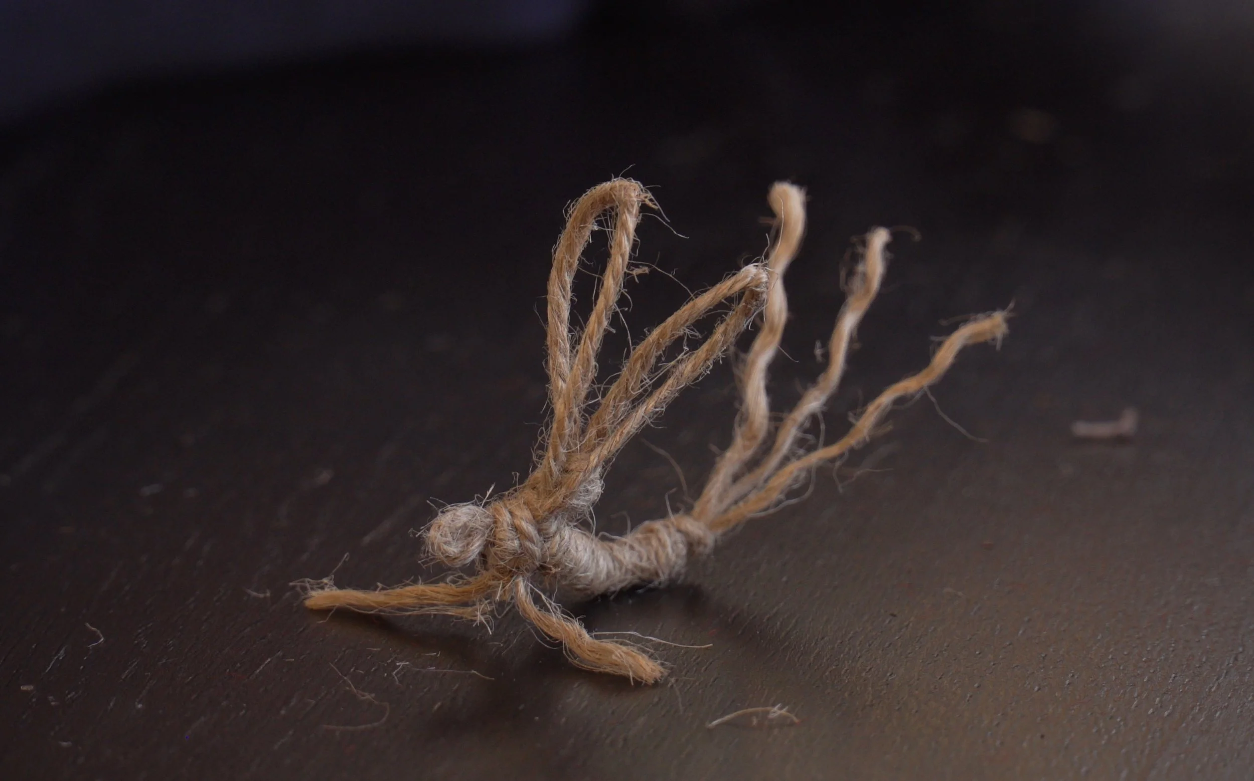 A small, twisted bunch of beige string resembling a spider, placed on a dark surface.