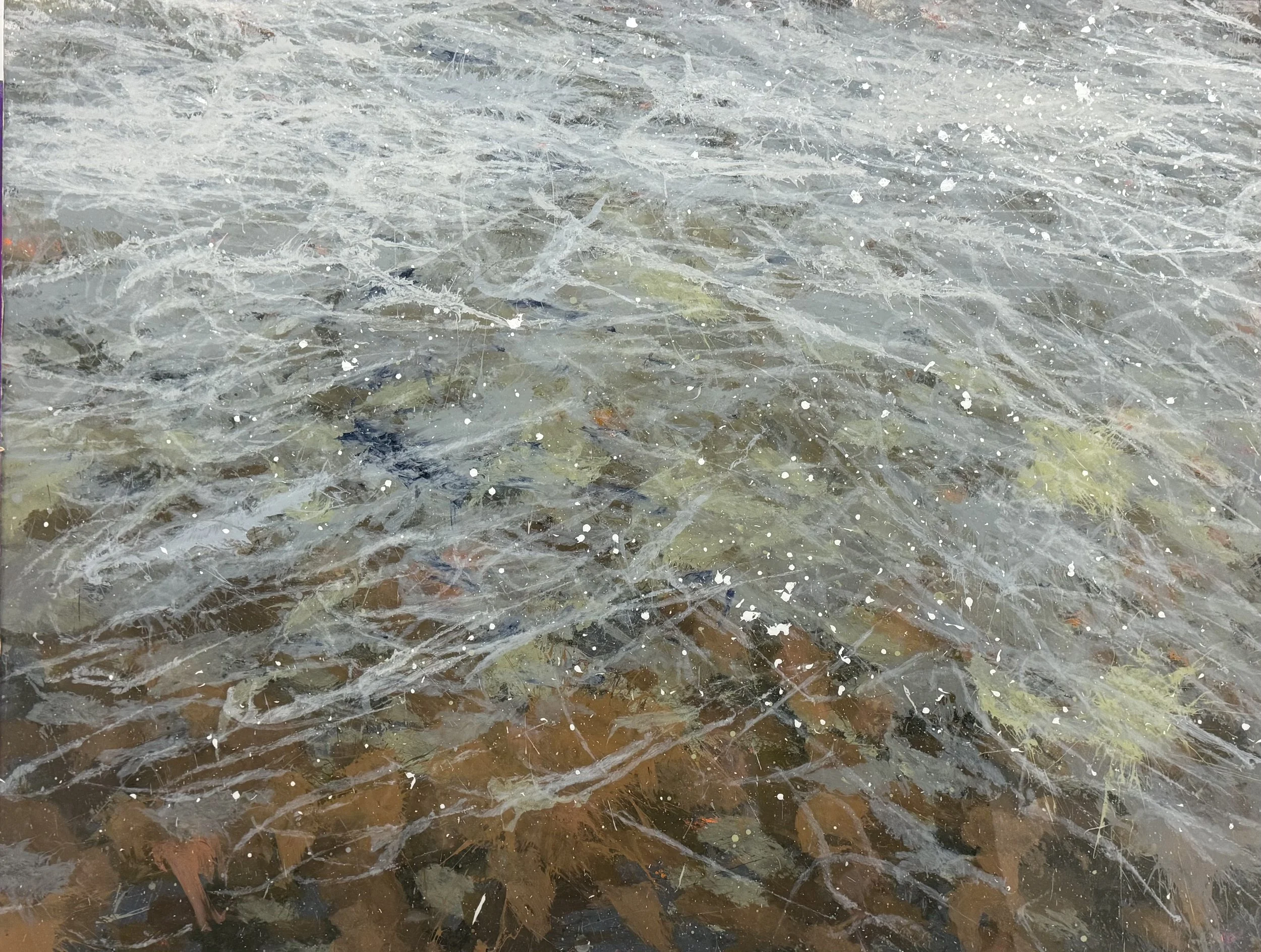 North Branch Chicago River, IL (4/3/26) 2026 acrylic on polycarbonate 
36 x 48 inches 
signed, titled and dated verso
