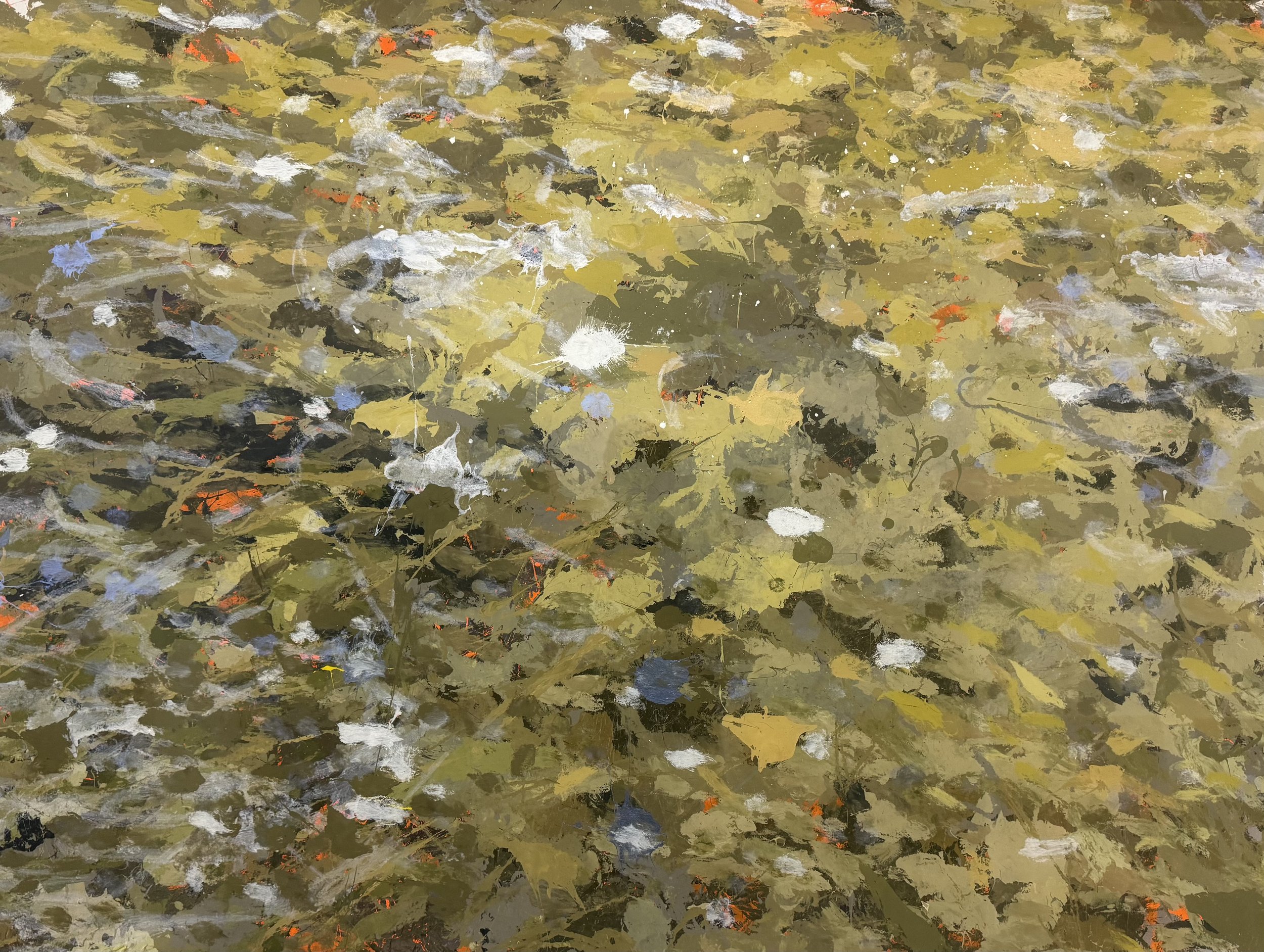 Mill Creek McClaughry Springs Woods, IL (4/3/26), 2026
acrylic on polycarbonate
36 x 48 inches
signed, titled and dated verso