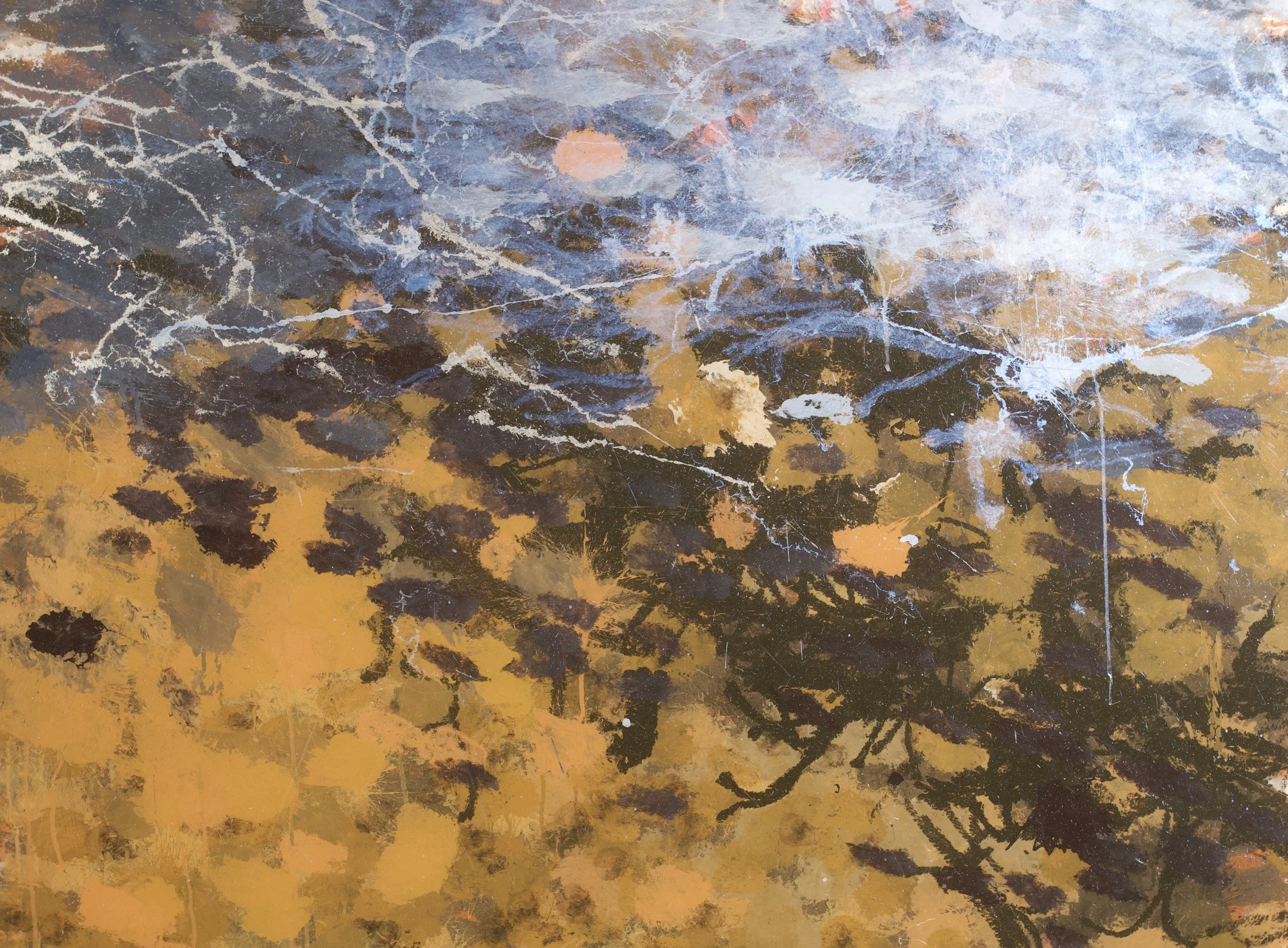 Moose Creek, MT (5/17/25), 2025
acrylic on polyarbonate
36 x 48 inches
signed, titled and dated verso	