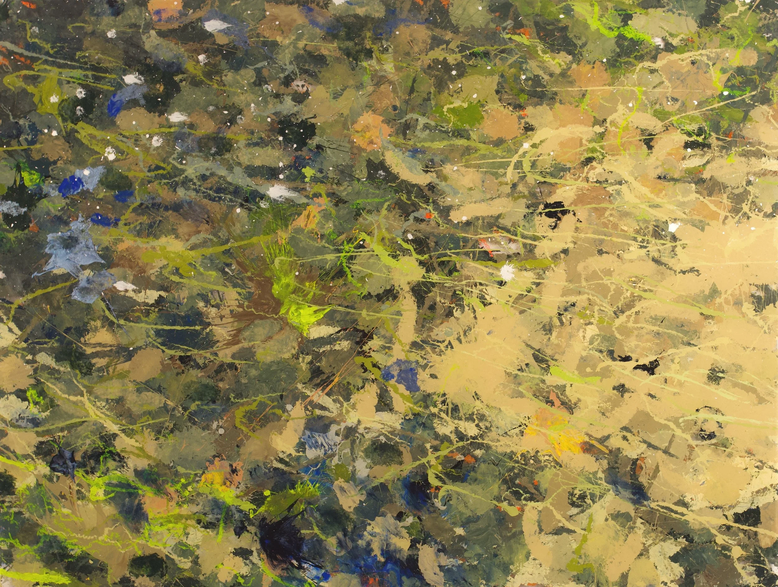 West Fork, Yaak River, MT (10/20/25), 2025
acrylic on polycarbonate
36 x 48 inches
signed, titled and dated verso