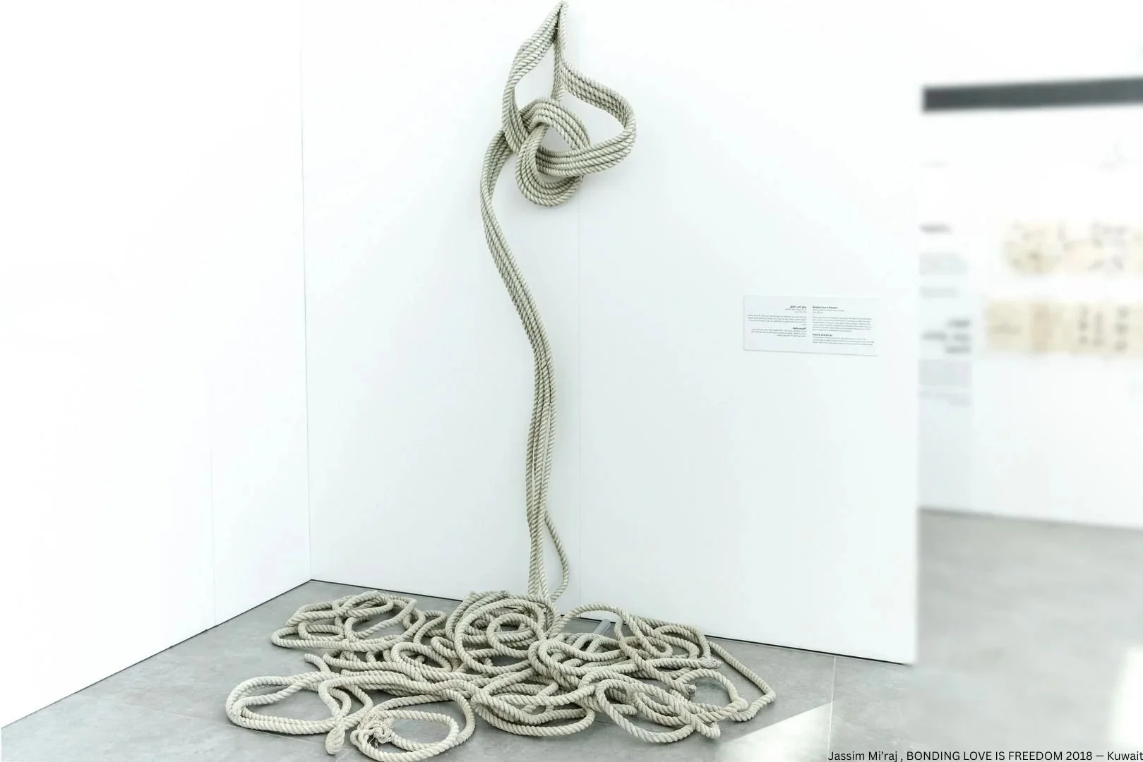 An art installation of a large white rope arranged in a tangled, flowing form, hanging on a white gallery wall with a small explanatory plaque beside it. Jassim Mi’raj , BONDING LOVE IS FREEDOM 2018 — Kuwait